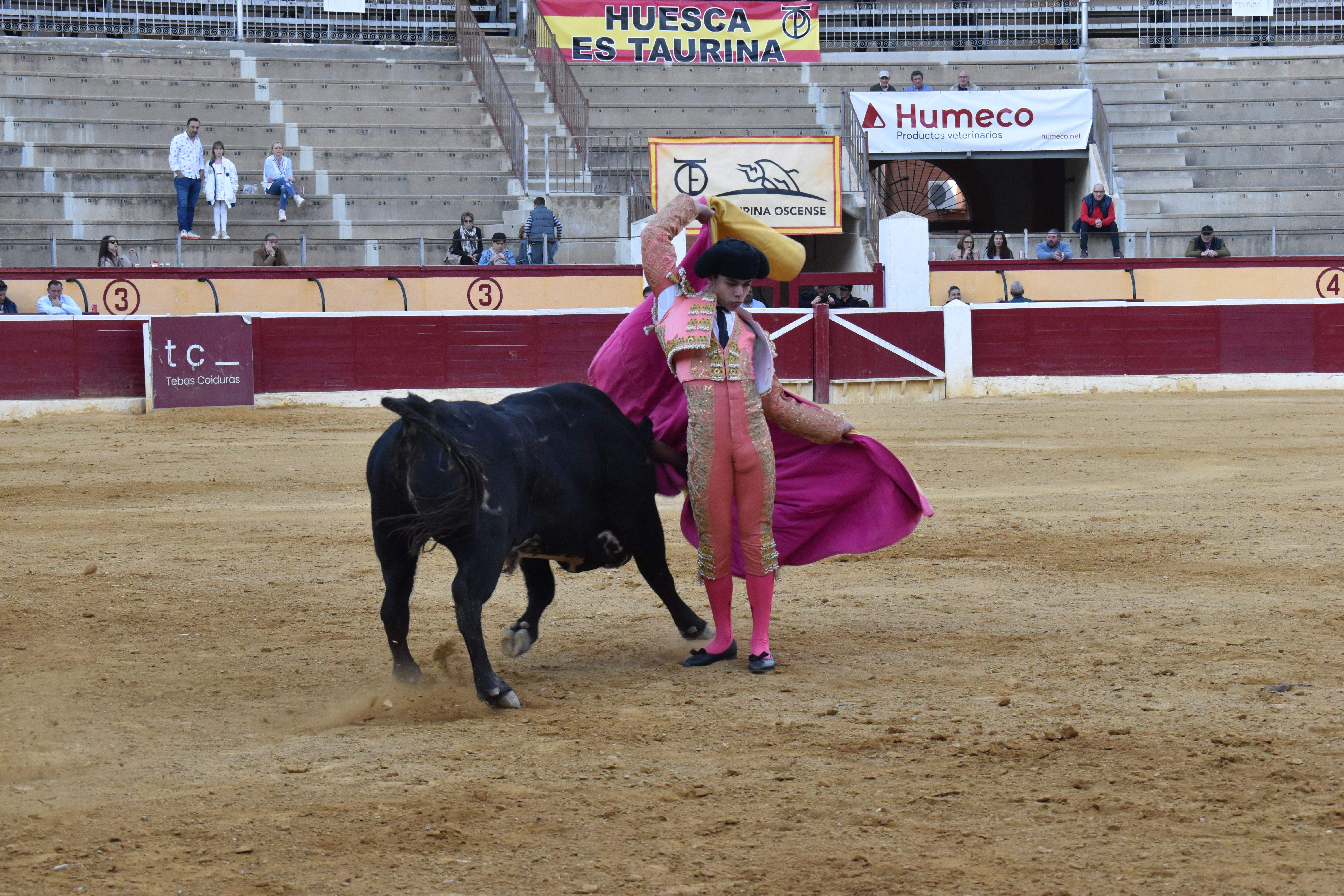 Novillada en Huesca. Foto Carlos Jalle 