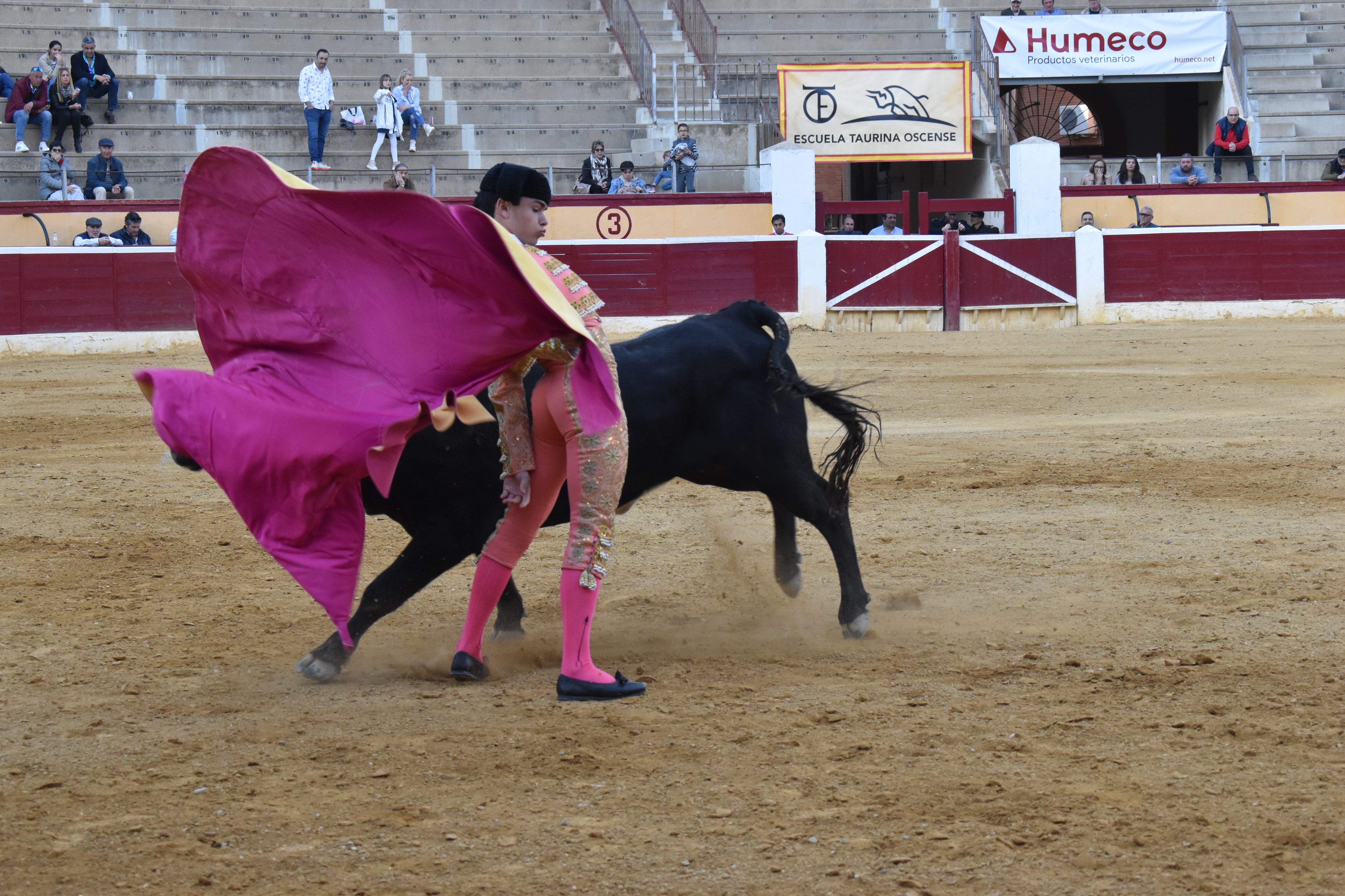 Novillada en Huesca. Foto Carlos Jalle 