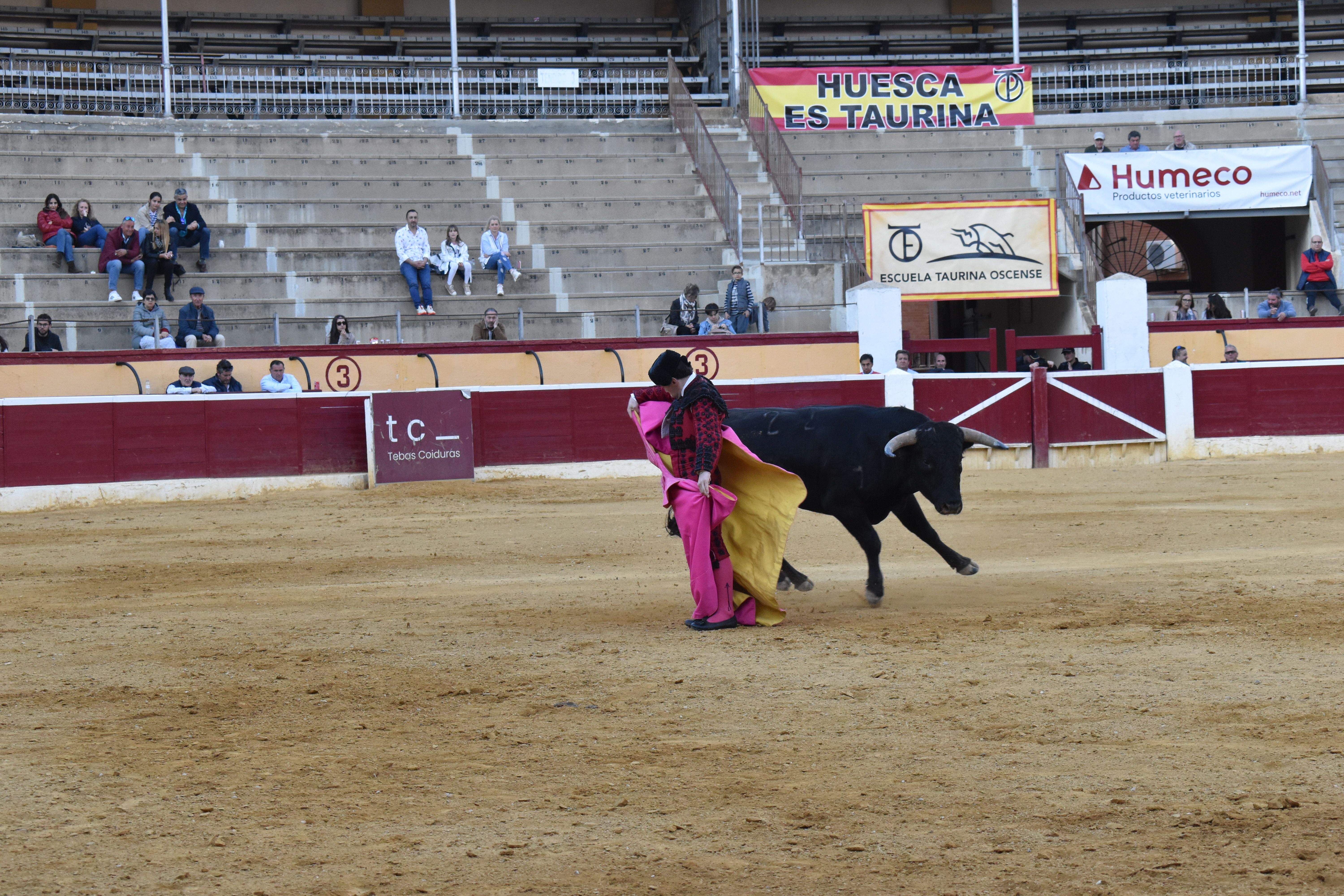 Novillada en Huesca. Foto Carlos Jalle