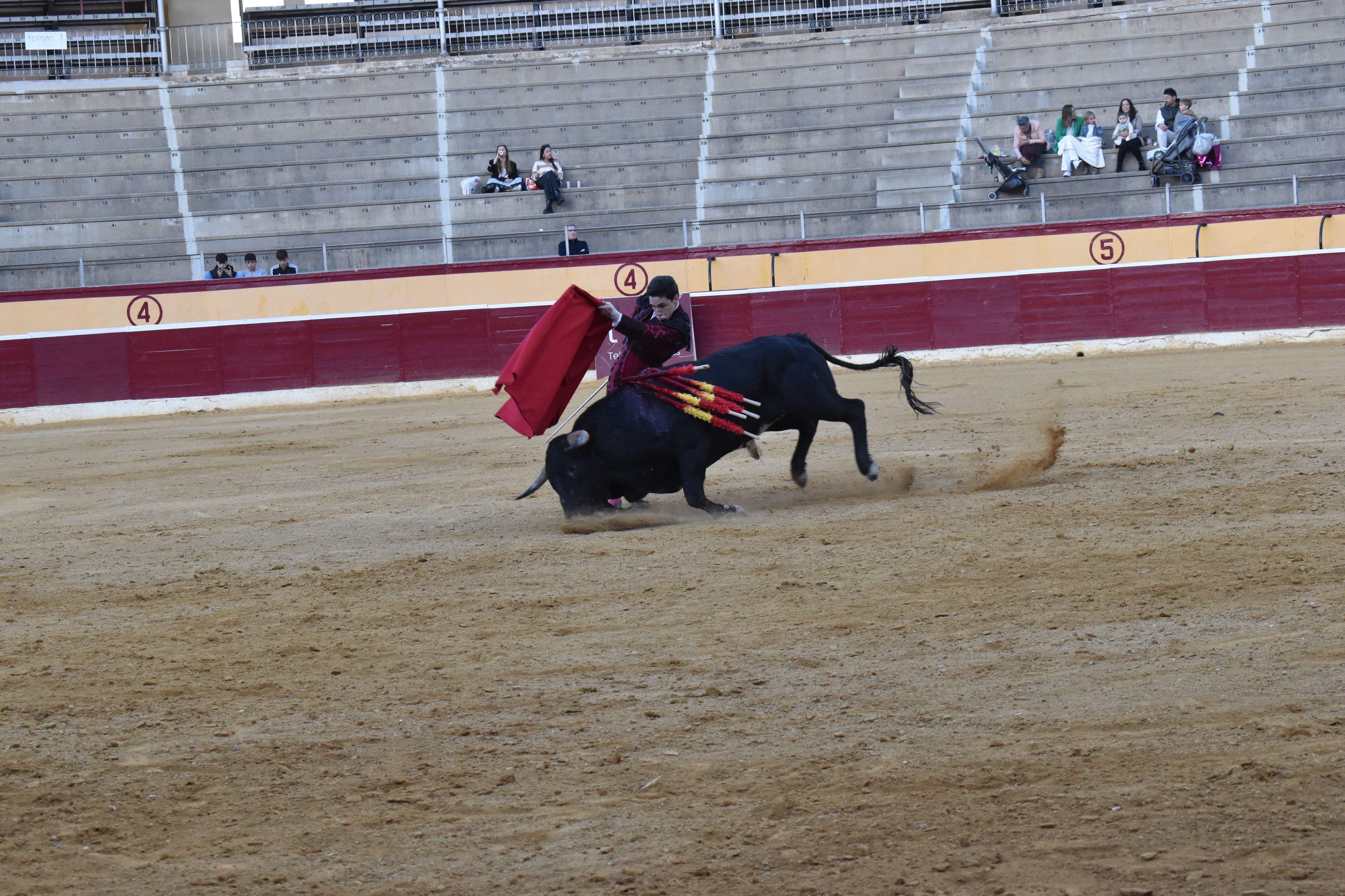 Novillada en Huesca. Foto Carlos Jalle 