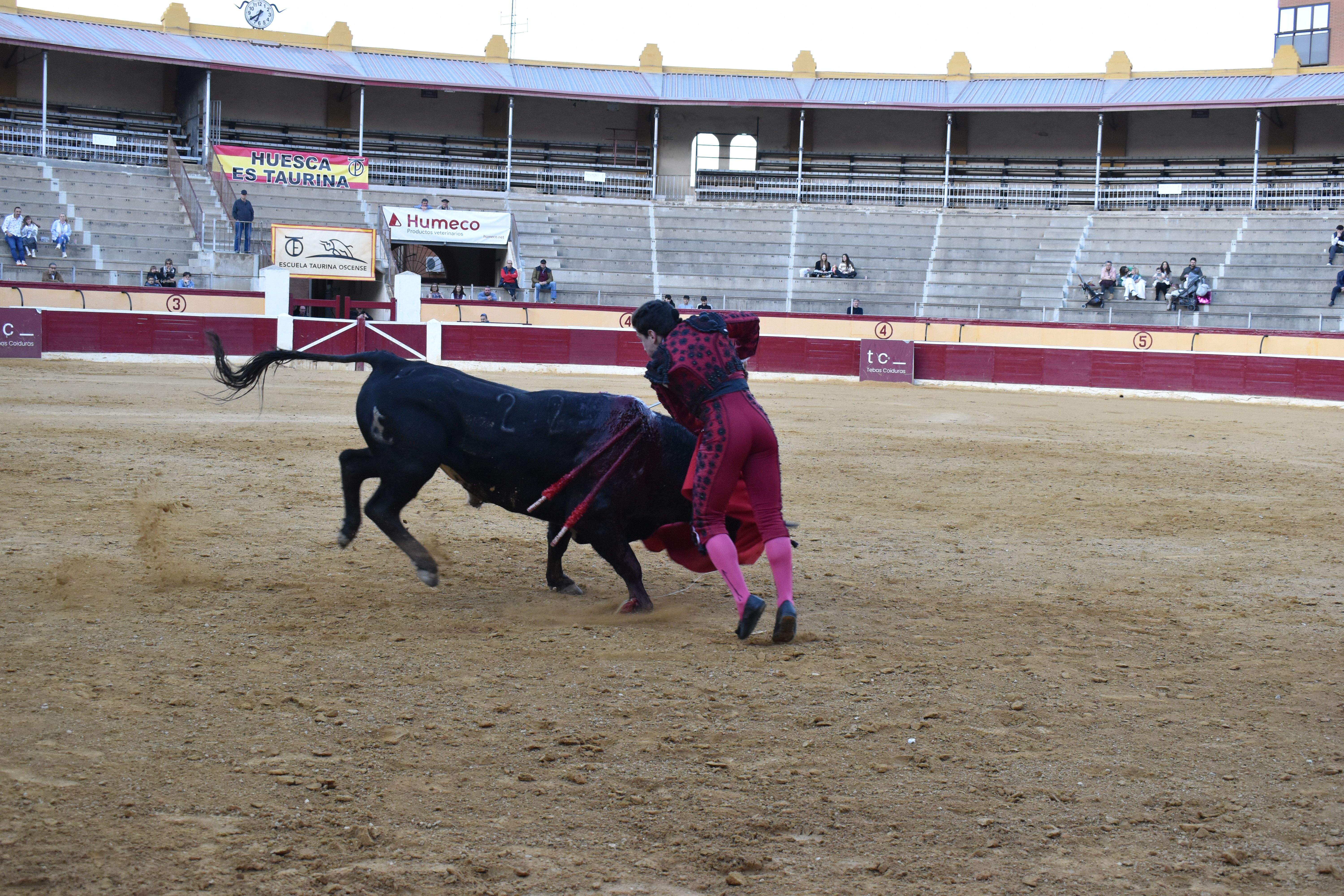 Novillada en Huesca. Foto Carlos Jalle 