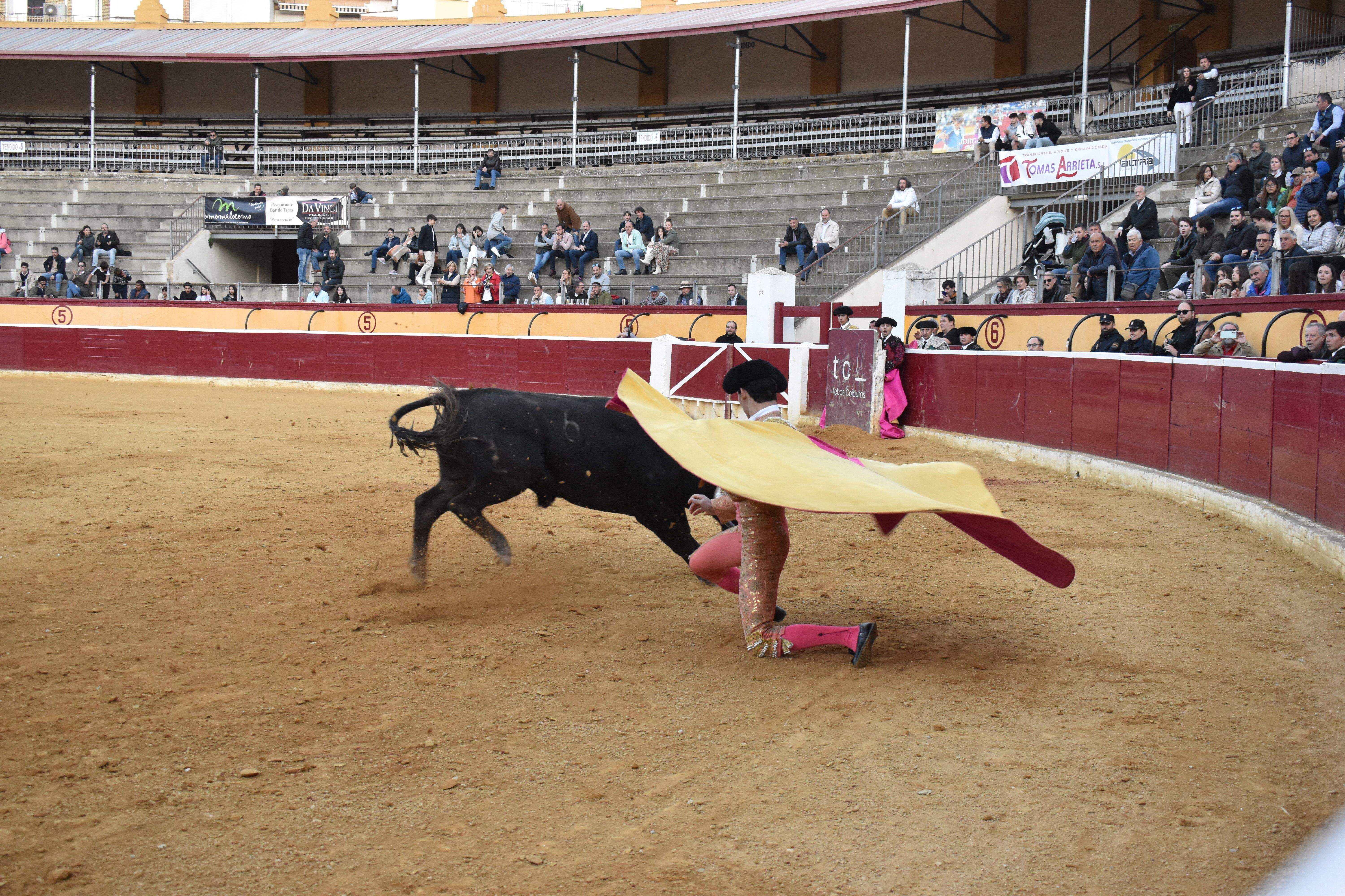 Novillada en Huesca. Foto Carlos Jalle 