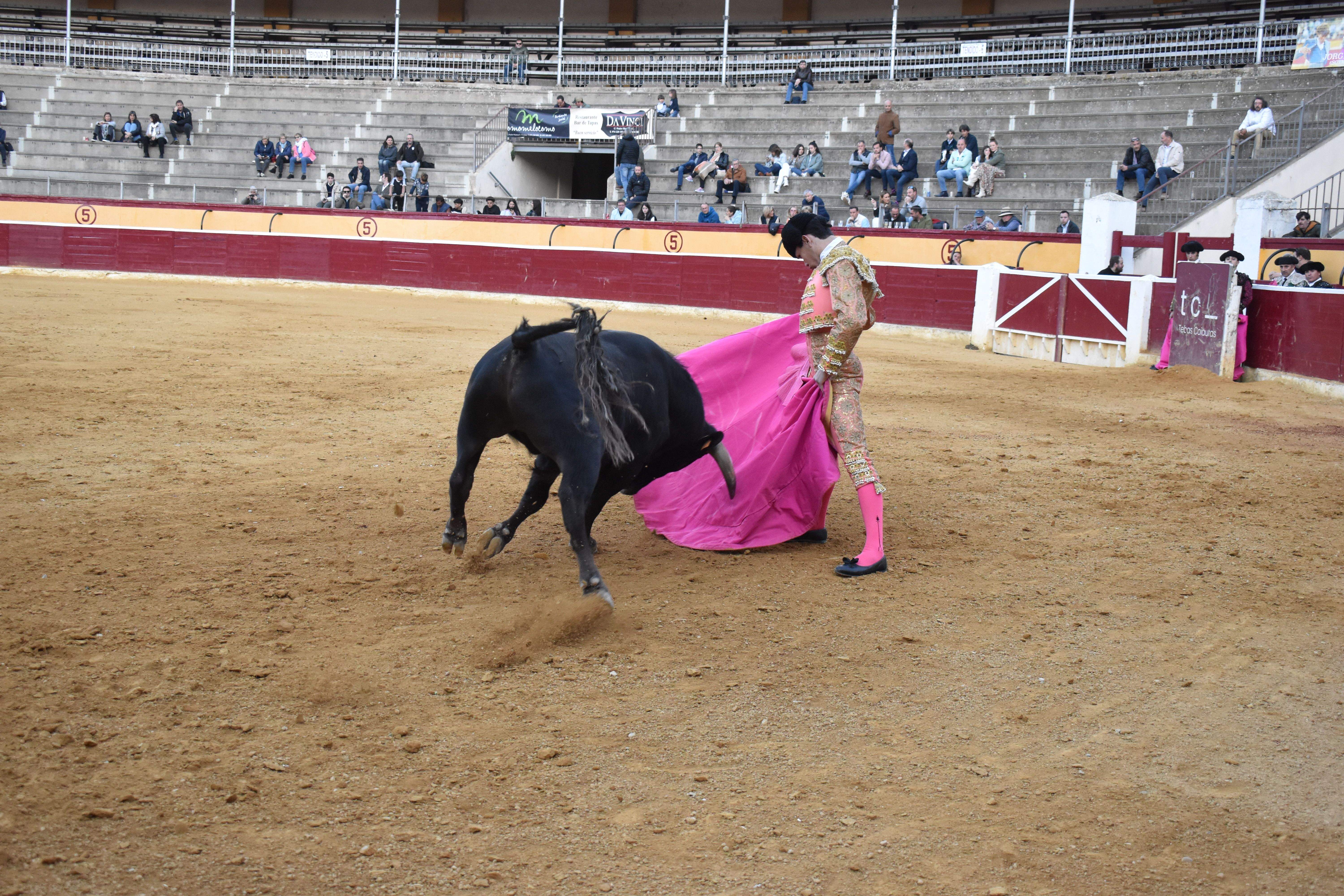 Novillada en Huesca. Foto Carlos Jalle 