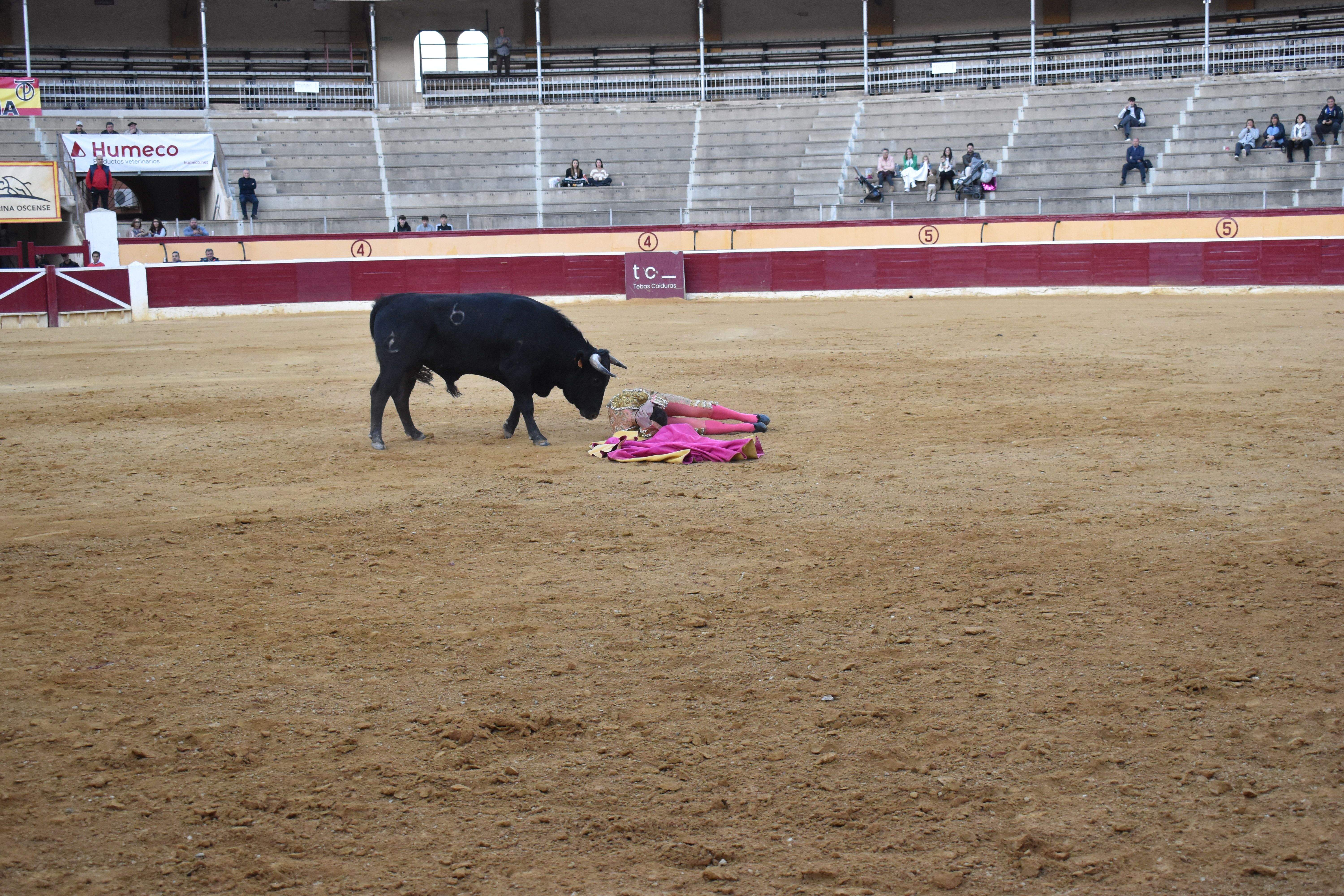 Novillada en Huesca. Foto Carlos Jalle 