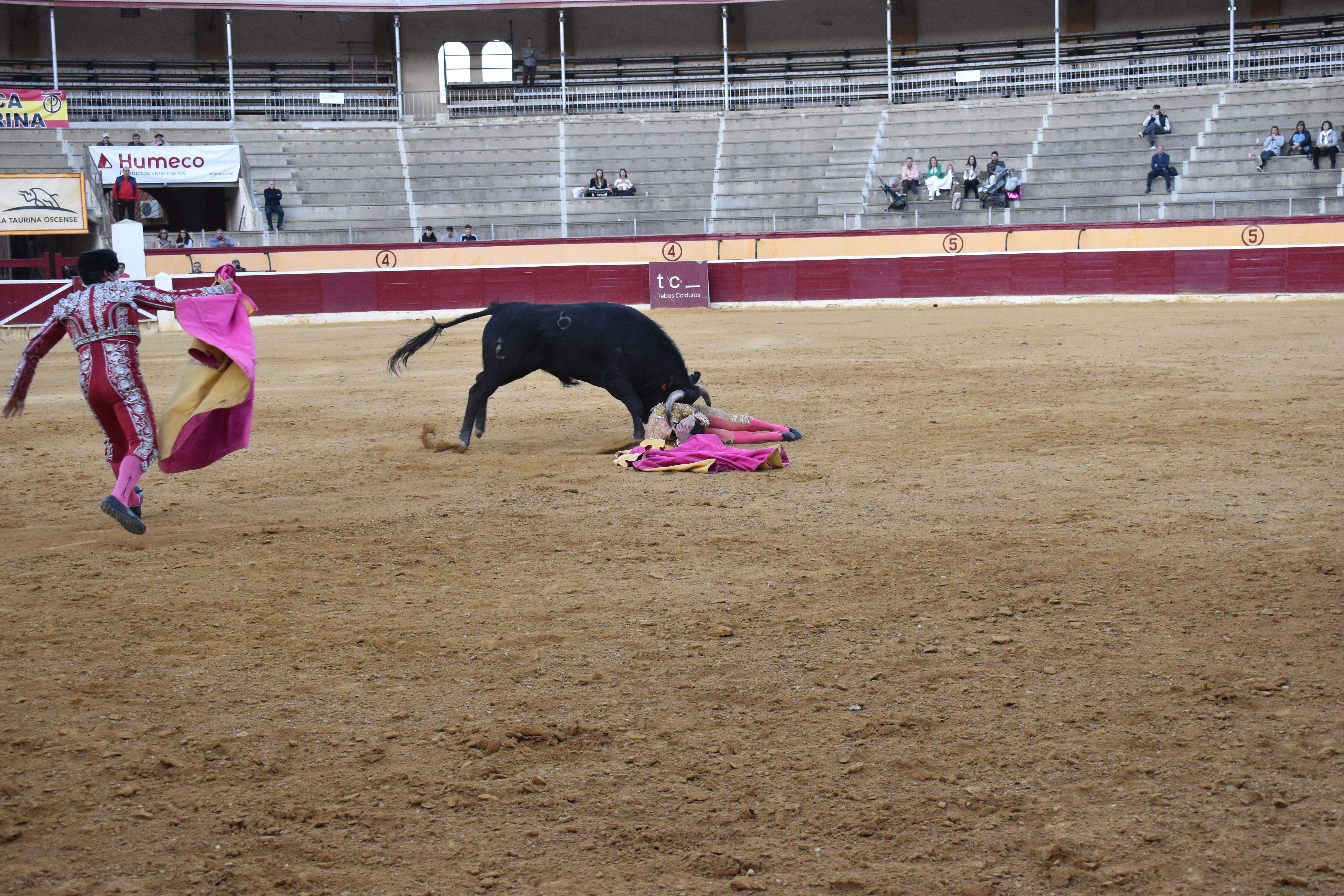Novillada en Huesca. Foto Carlos Jalle 