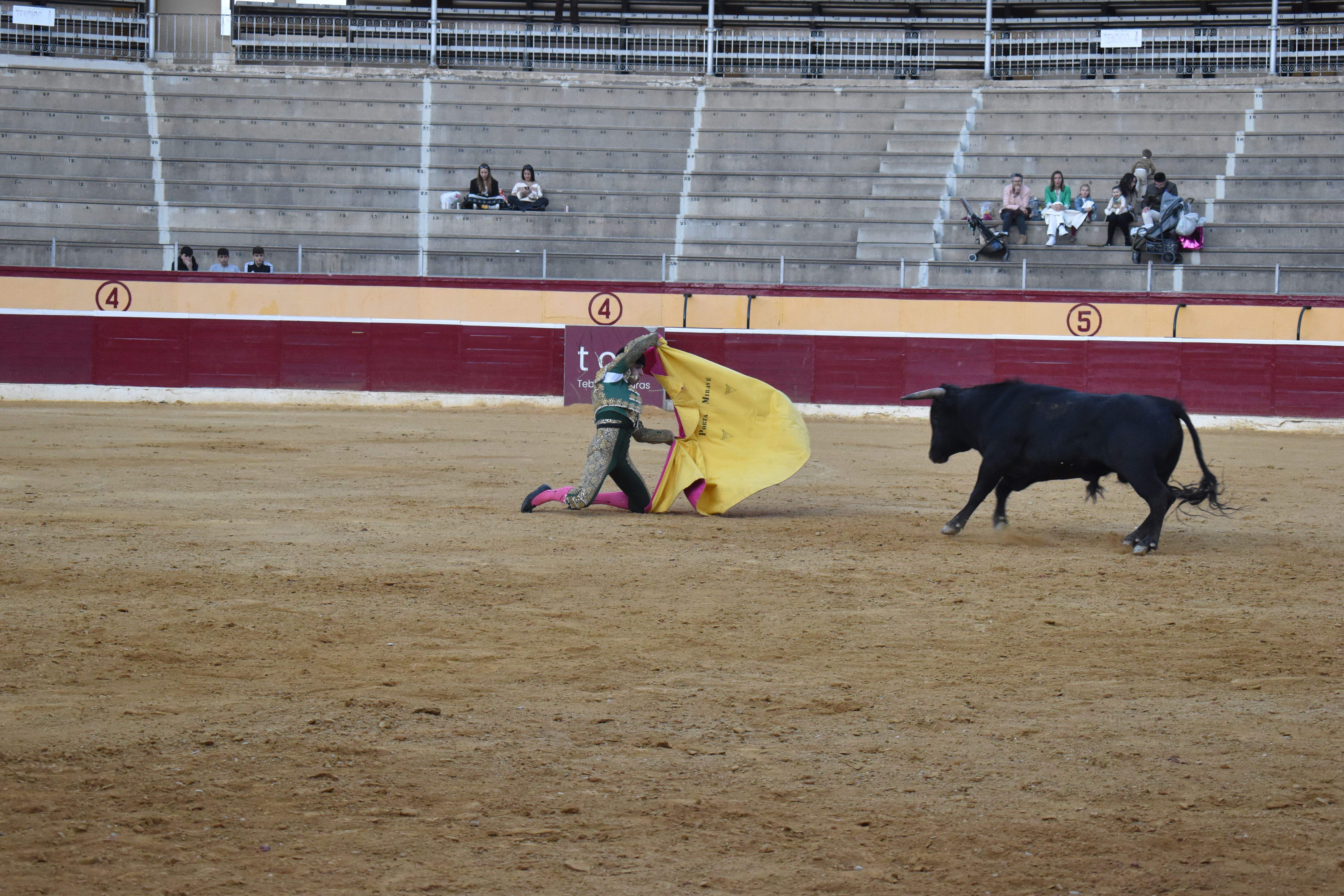 Novillada en Huesca. Foto Carlos Jalle 
