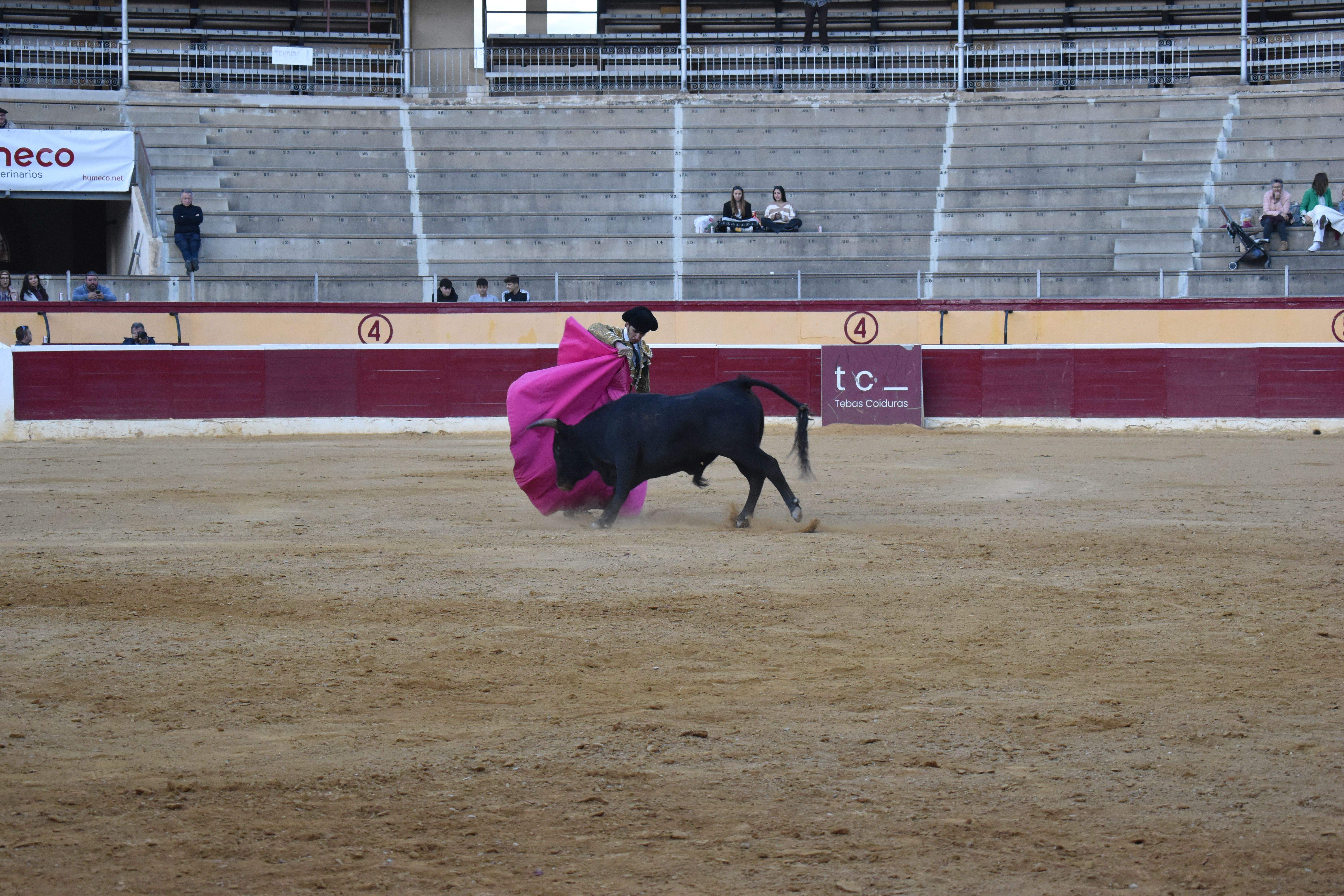 Novillada en Huesca. Foto Carlos Jalle 