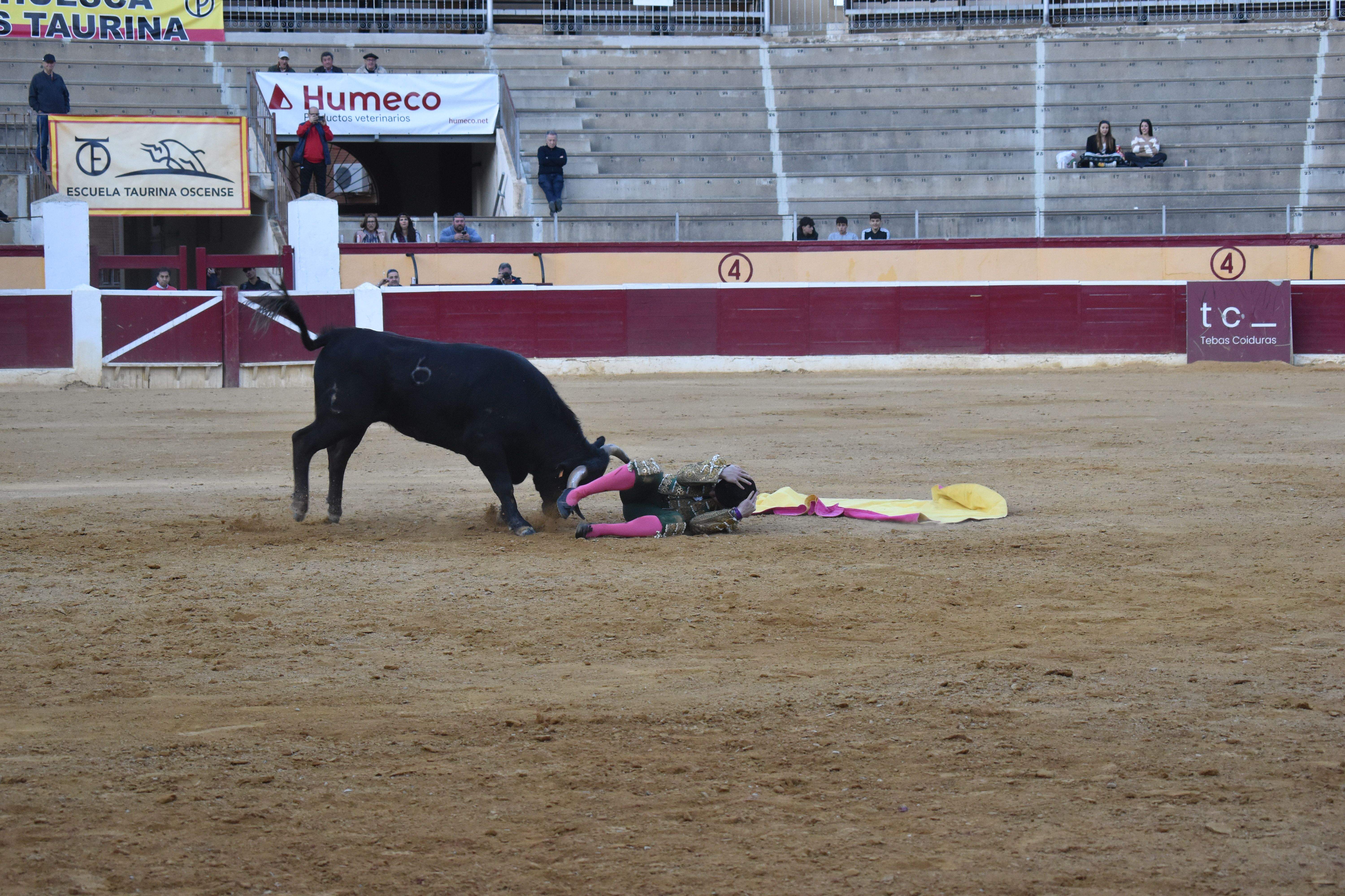 Novillada en Huesca. Foto Carlos Jalle 