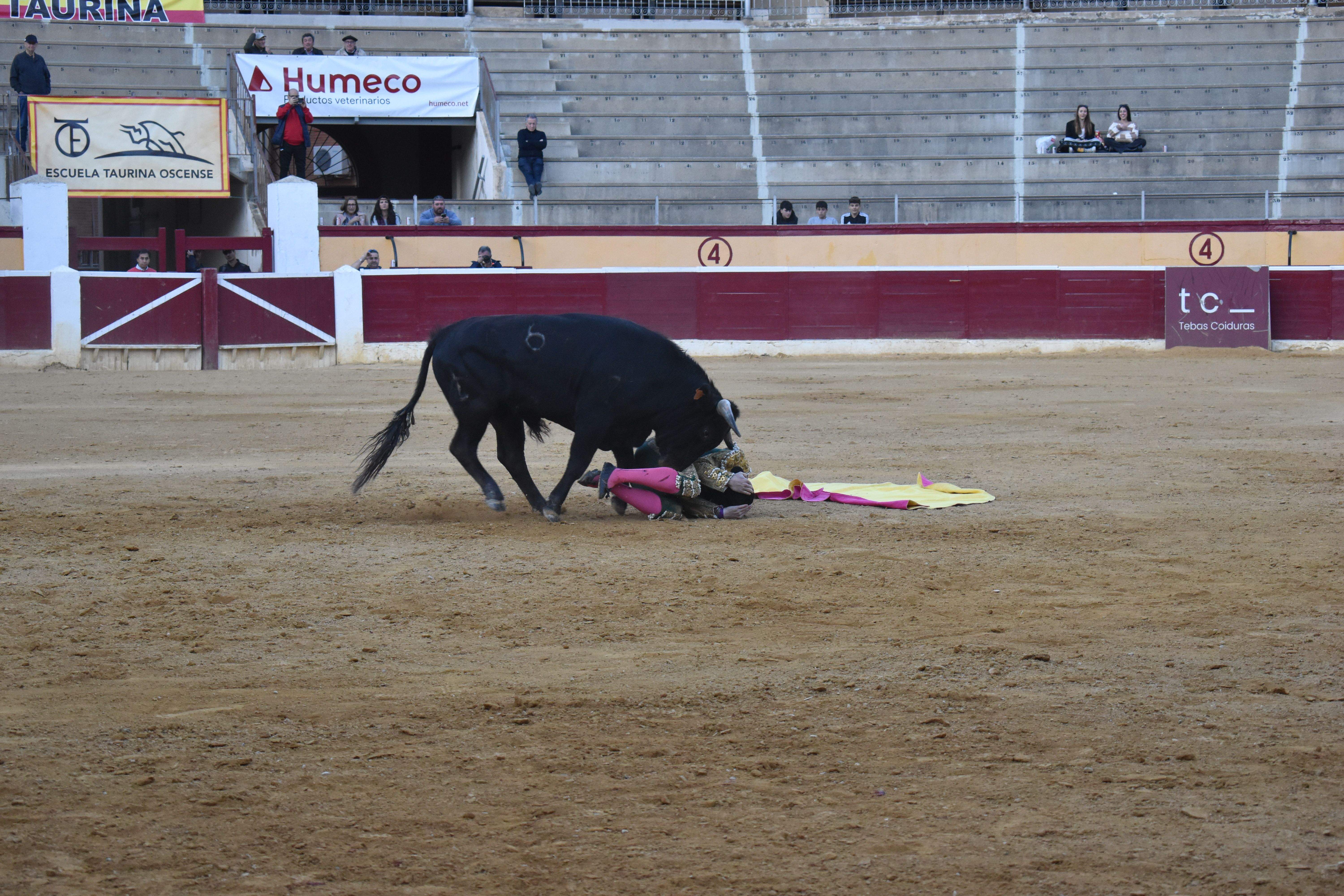 Novillada en Huesca. Foto Carlos Jalle 