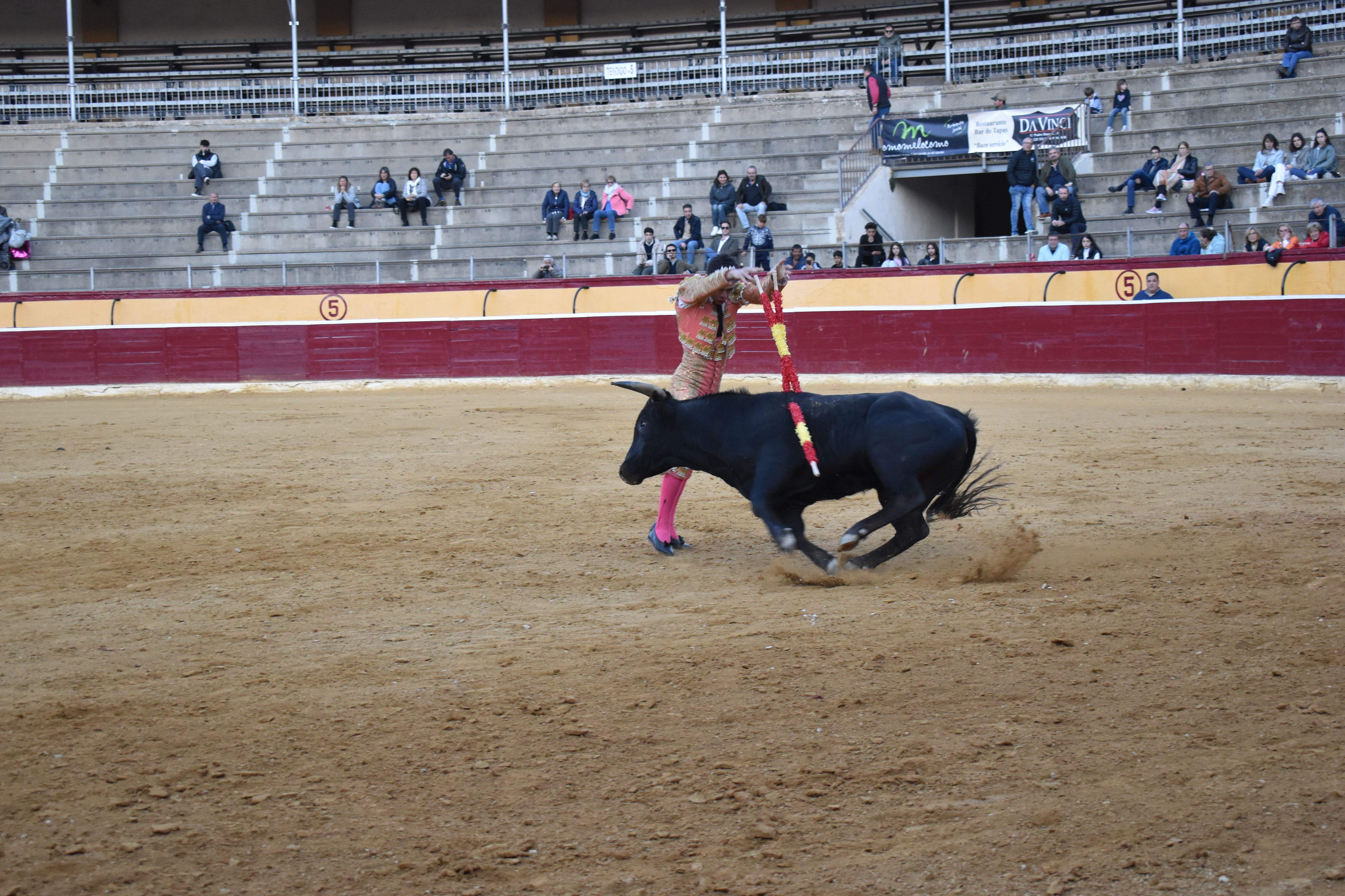 Novillada en Huesca. Foto Carlos Jalle 