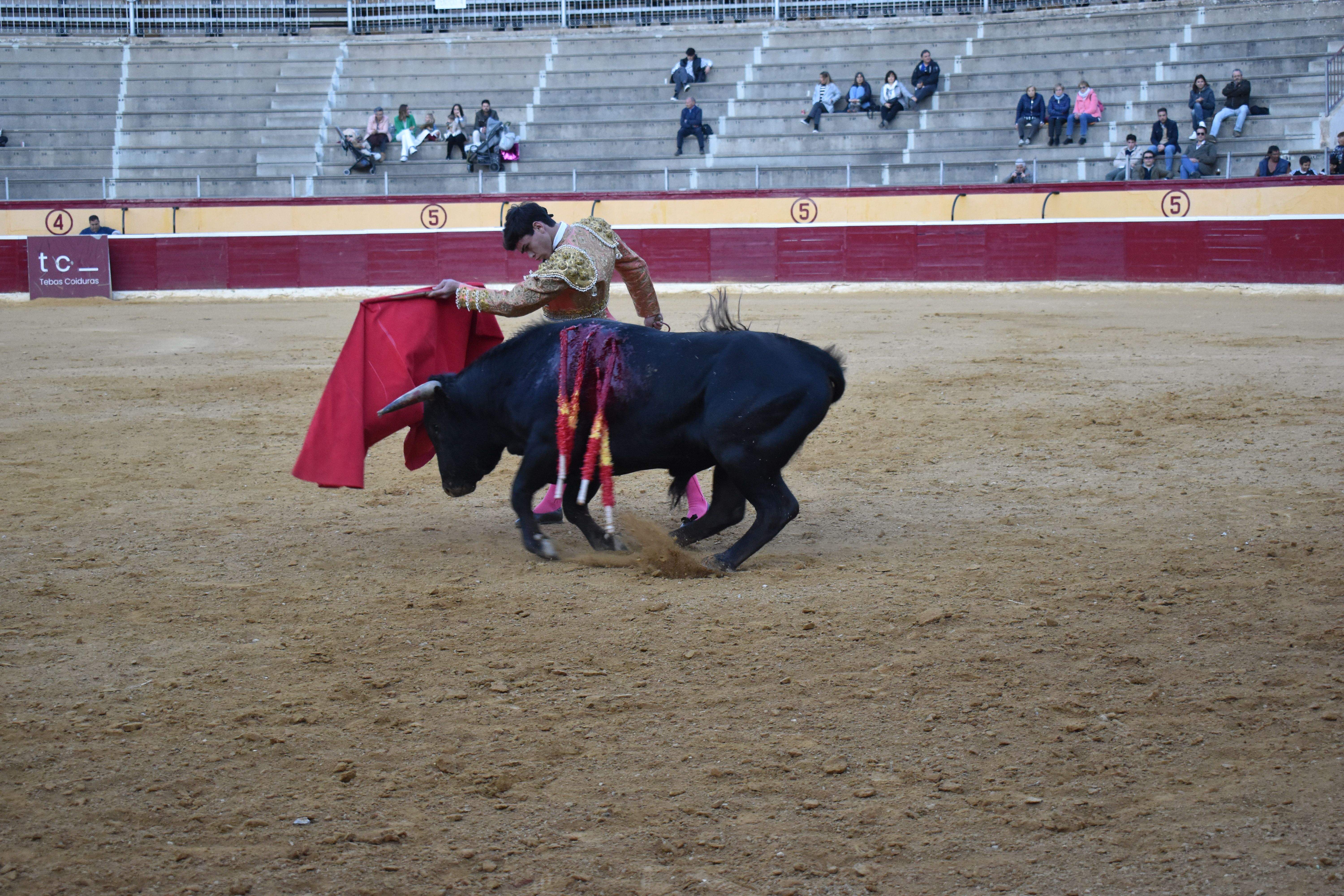 Novillada en Huesca. Foto Carlos Jalle 