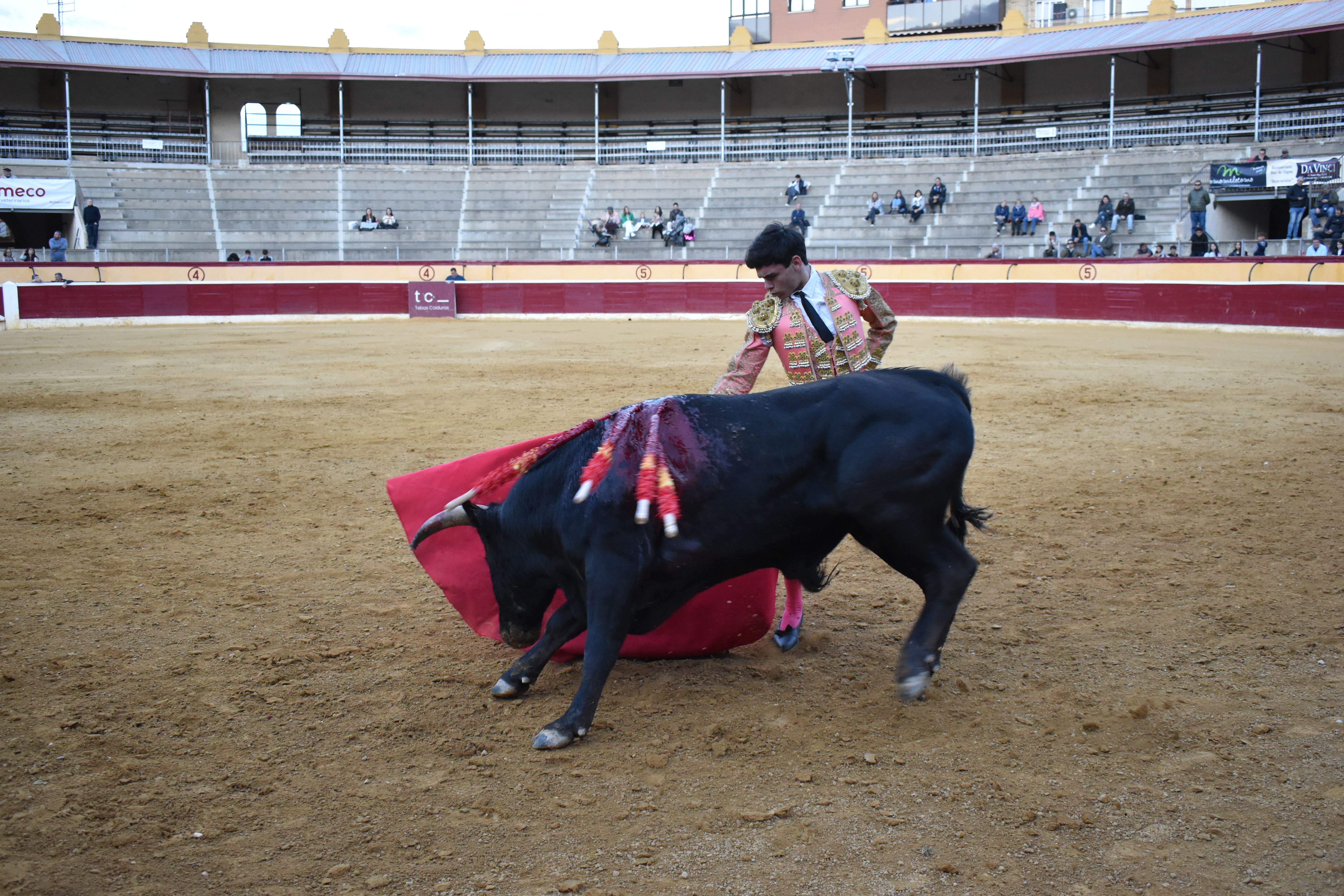 Novillada en Huesca. Foto Carlos Jalle 