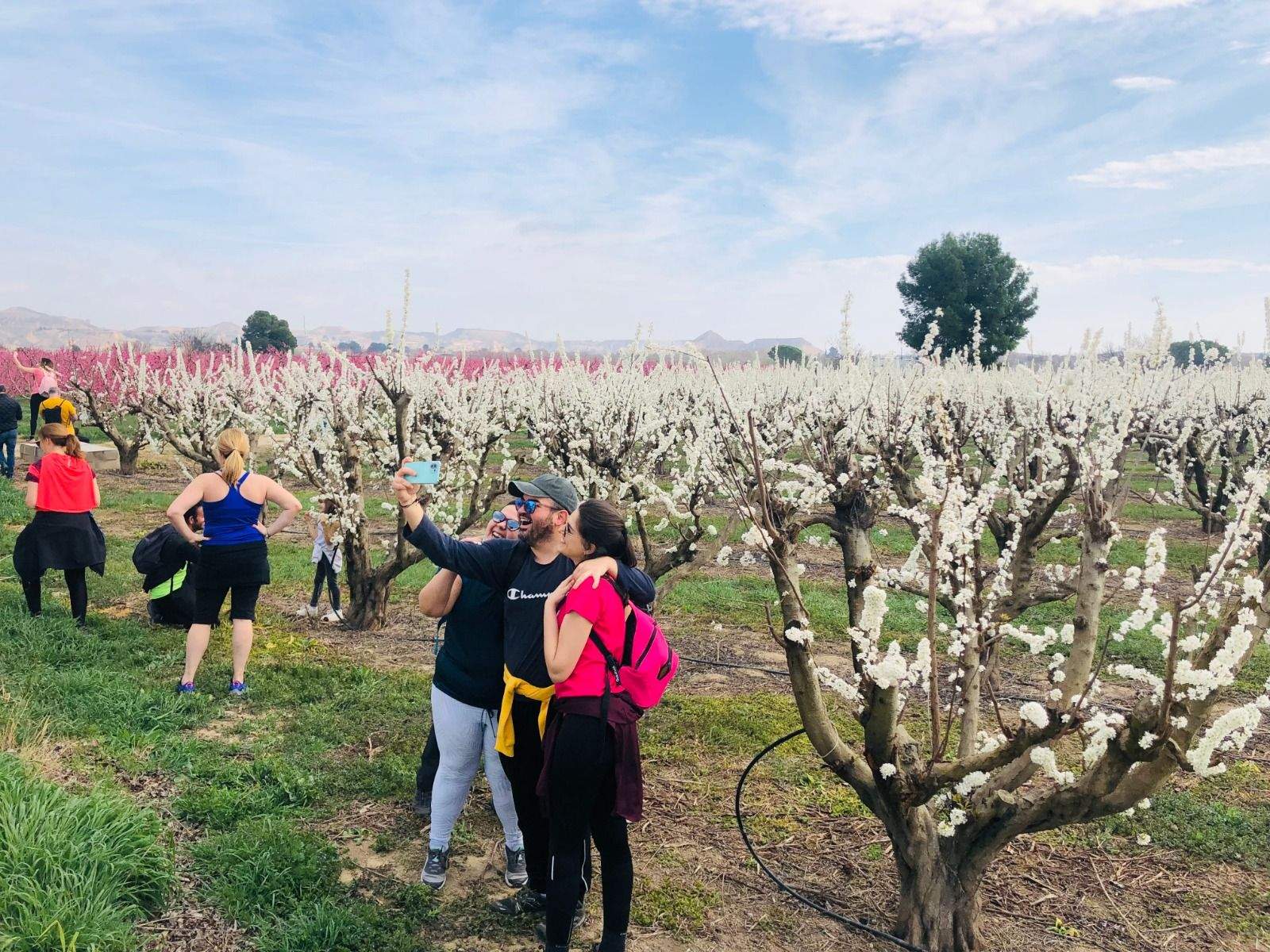 Tomando una imagen para el recuerdo de la floración en Torrente de Cinca.
