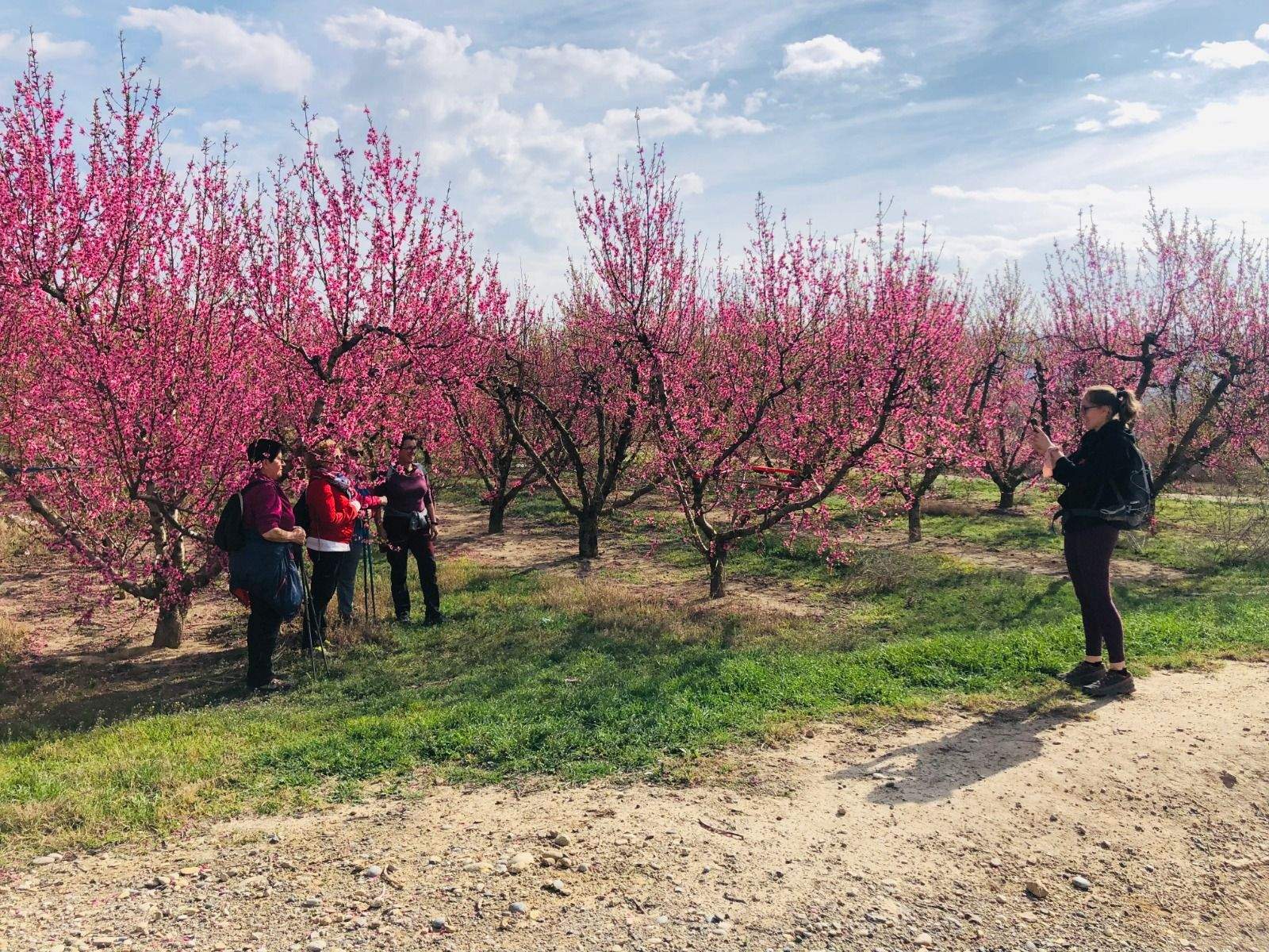 Ruta de la floración en Torrente de Cinca