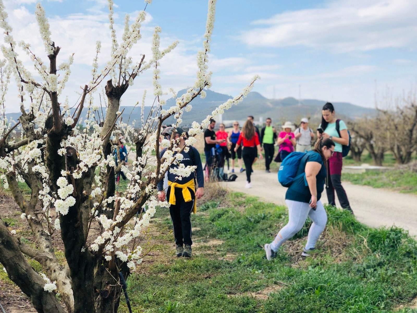 Ruta de la floración en Torrente de Cinca