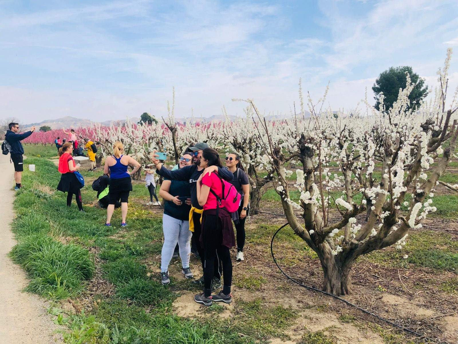 Ruta de la floración en Torrente de Cinca