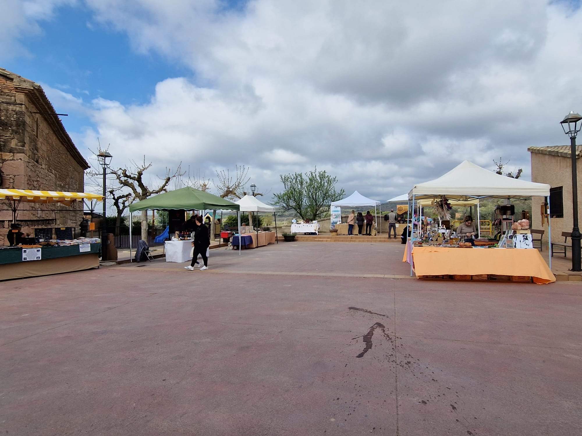 Homenaje a la Mujer Rural en Radiquero