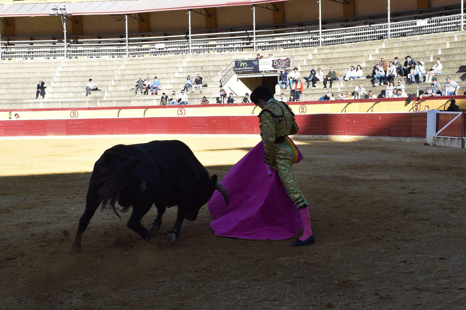 Novillada en Huesca. Foto Carlos Jalle 