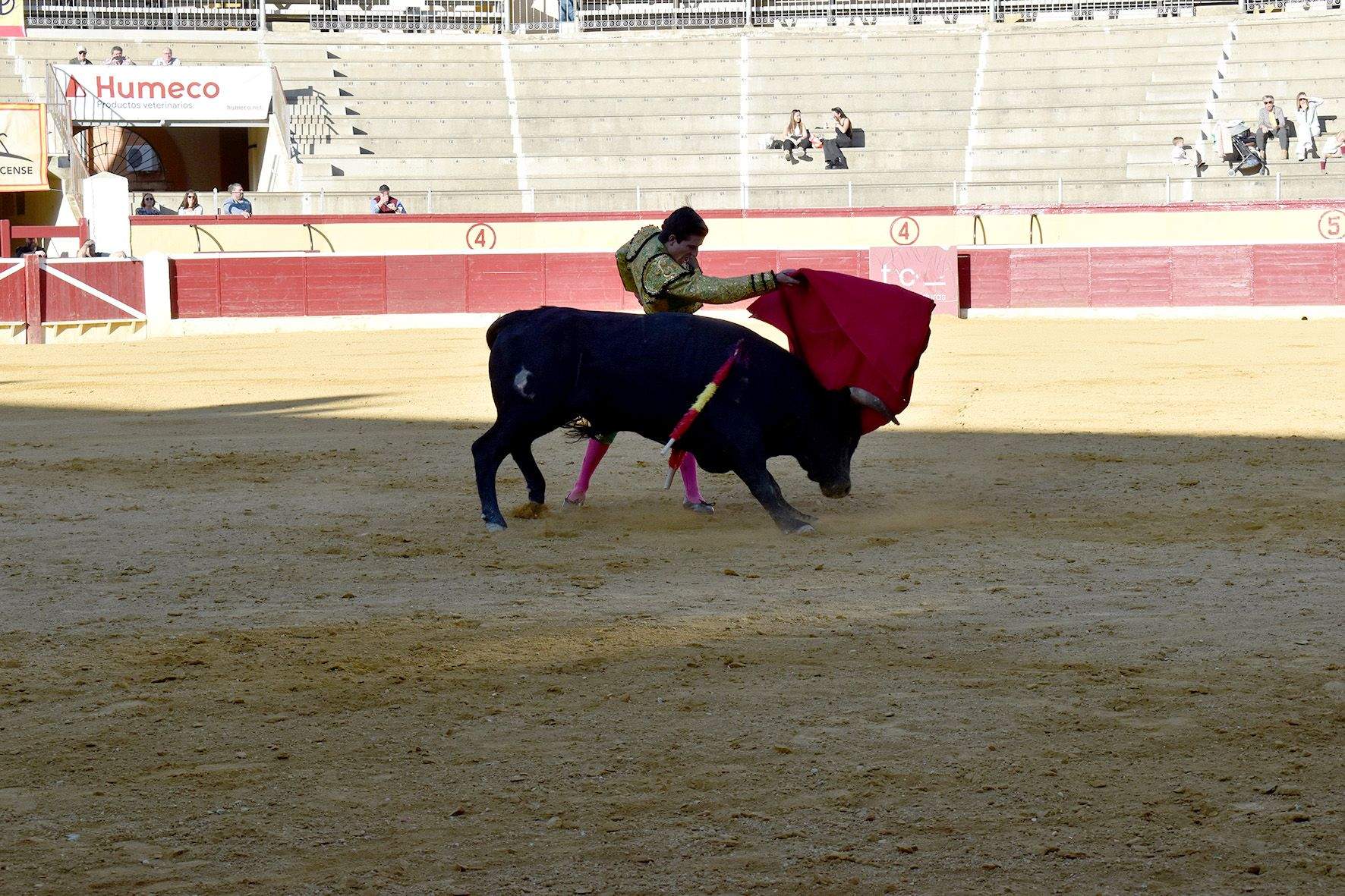 Novillada en Huesca. Foto Carlos Jalle 