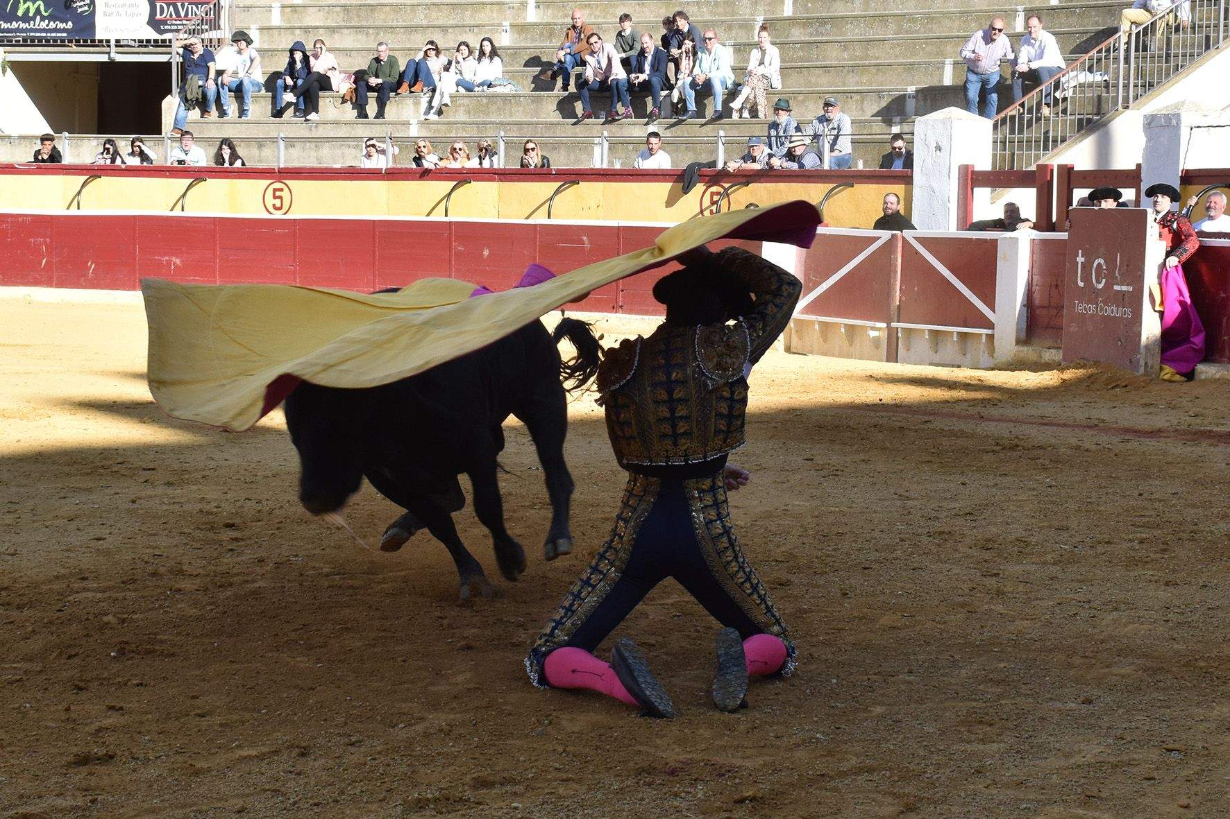 Novillada en Huesca. Foto Carlos Jalle 