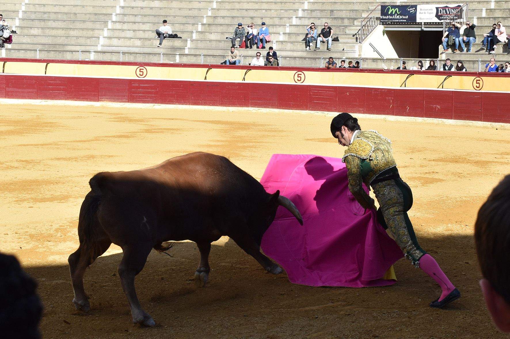 Novillada en Huesca. Foto Carlos Jalle 