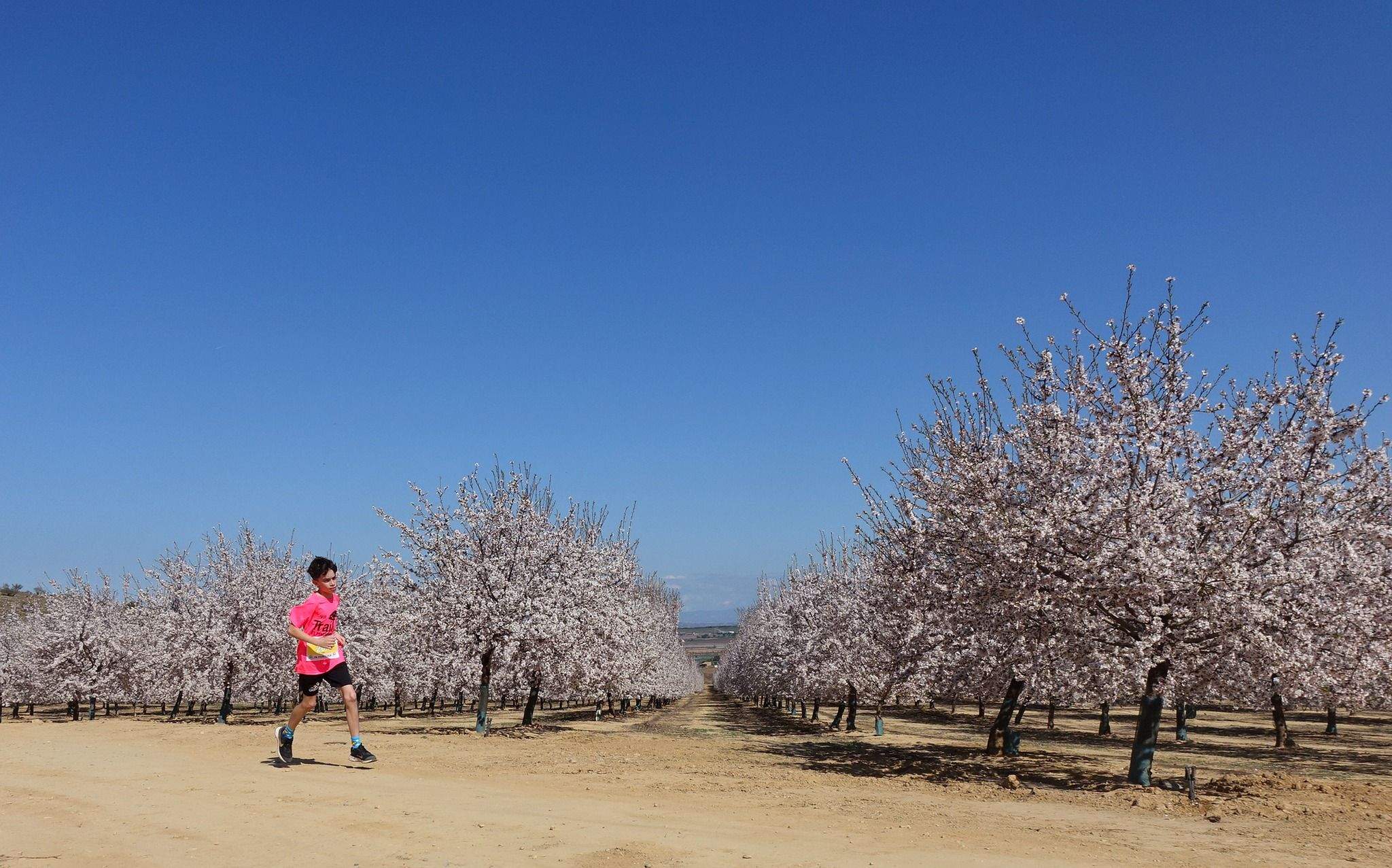 Trail Solidaria El Pino
