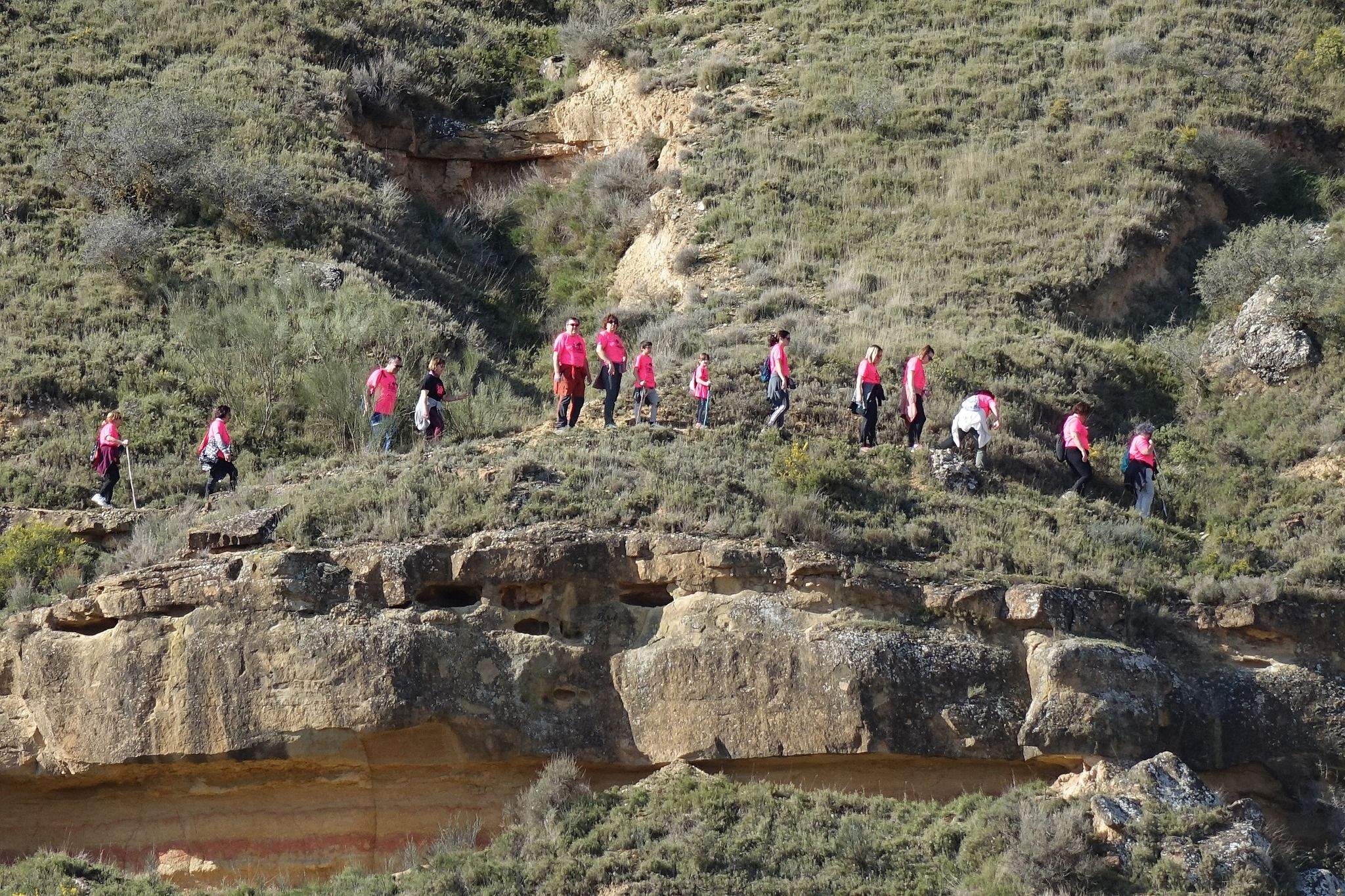 Trail Solidaria El Pino