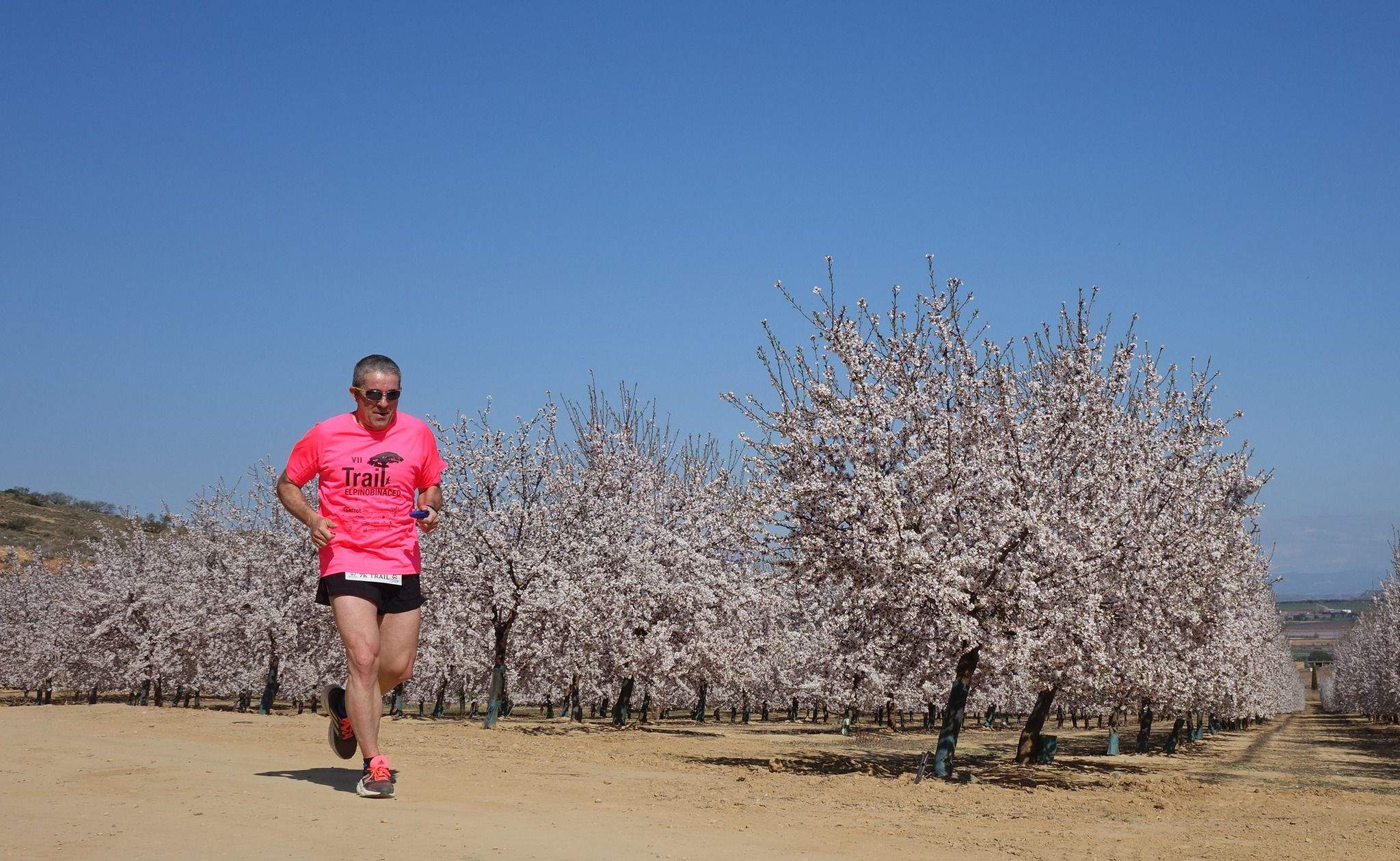 Trail Solidaria El Pino