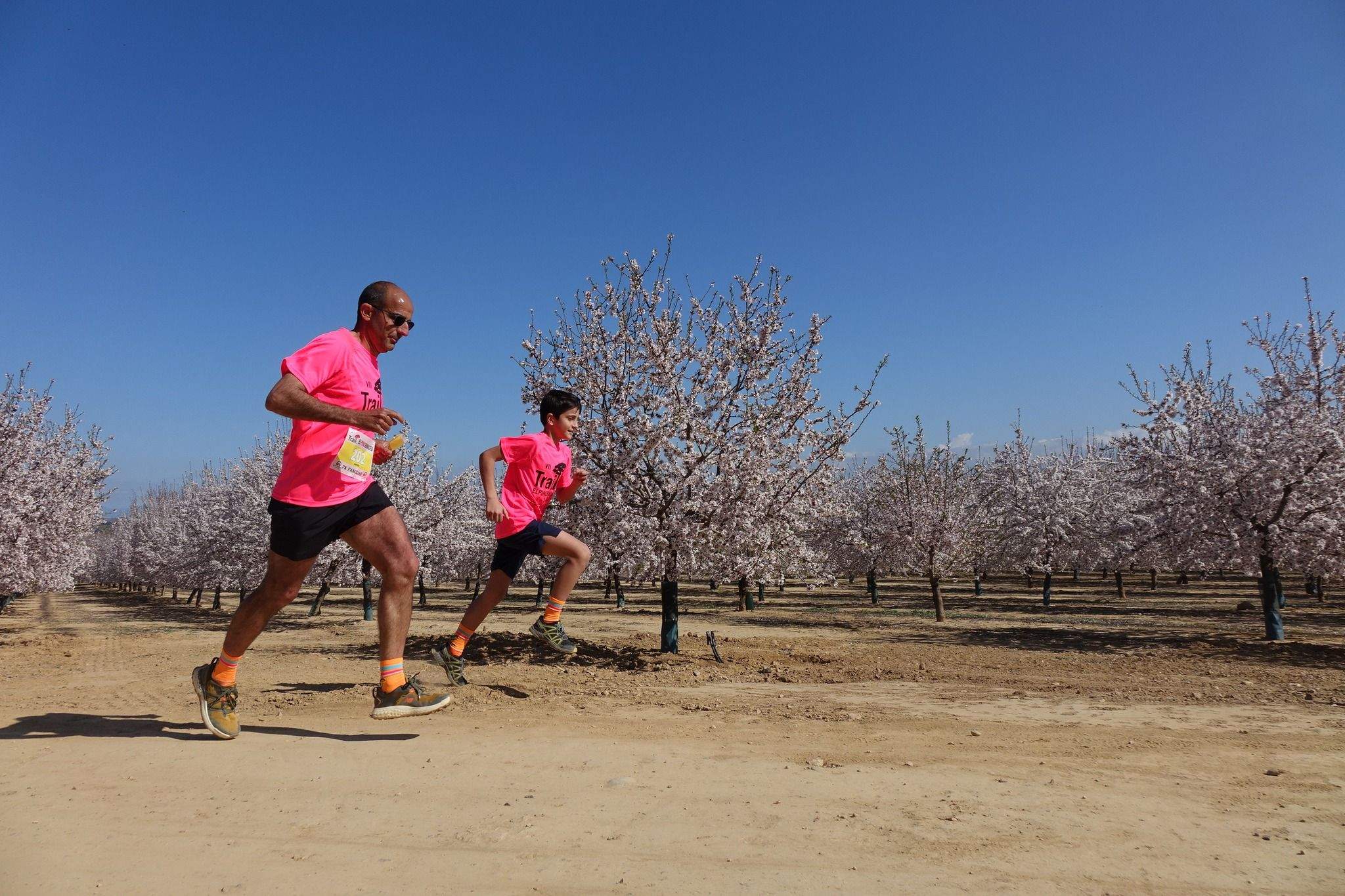 Trail Solidaria El Pino