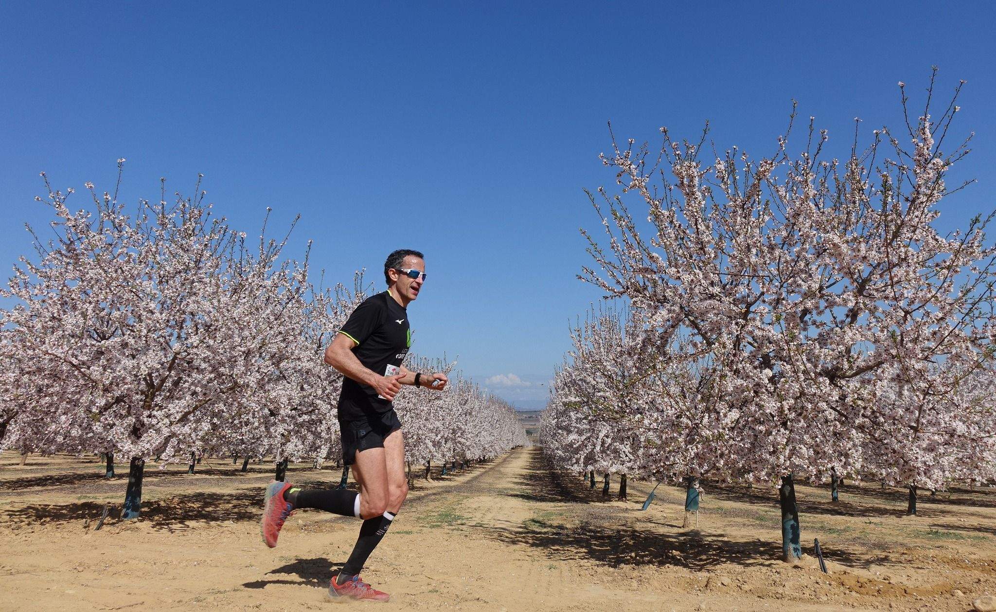 Trail Solidaria El Pino