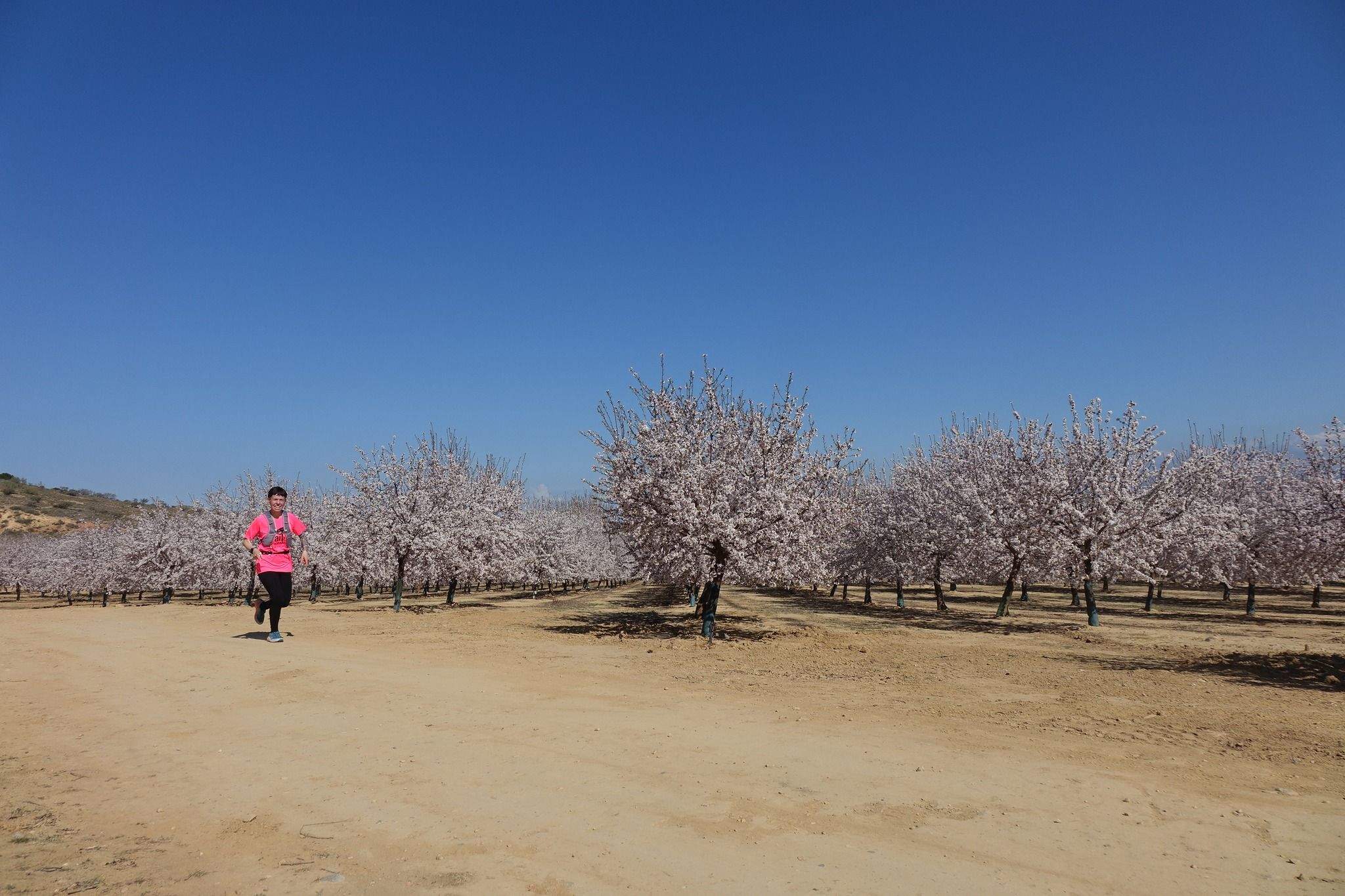 Trail Solidaria El Pino