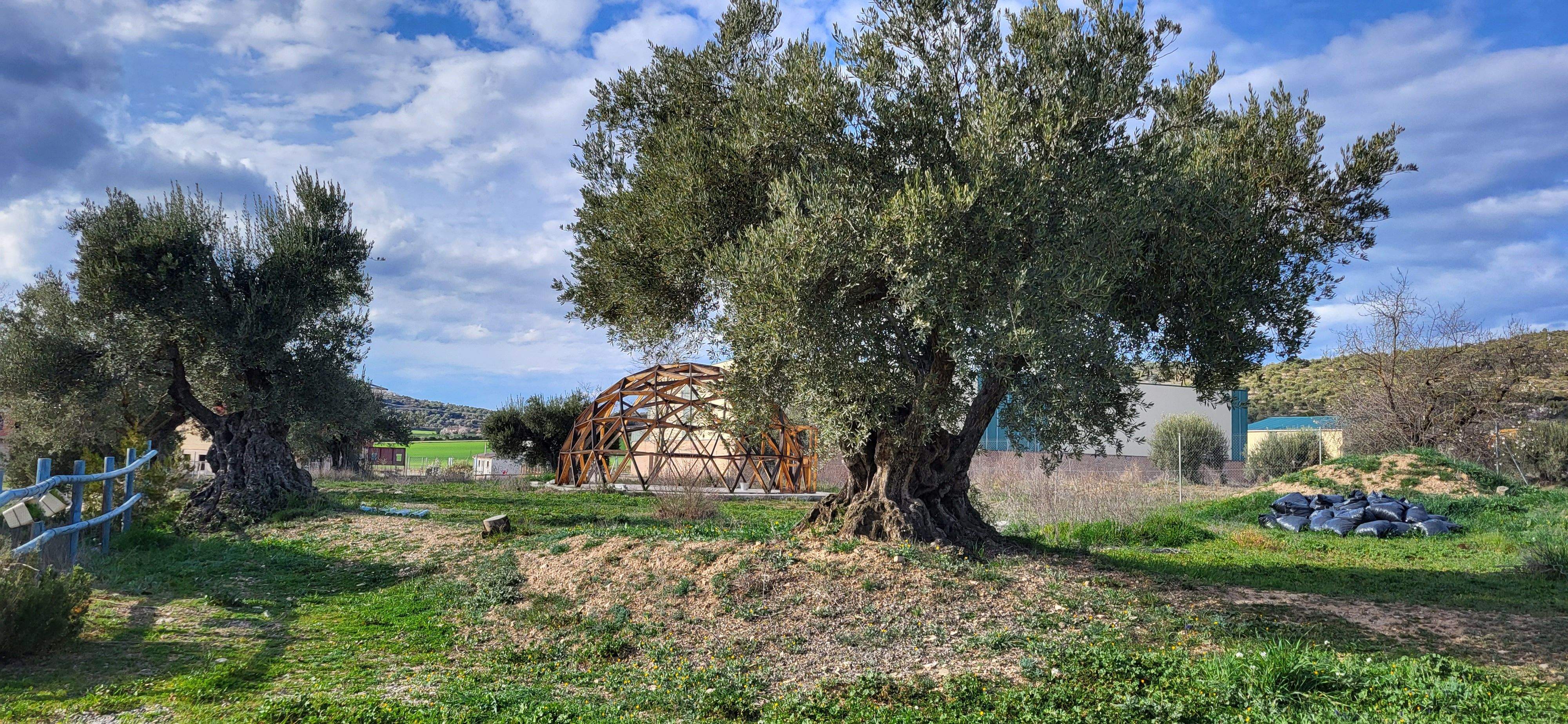 Albergue La Sabina de Fonz. Foto Myriam Martínez 