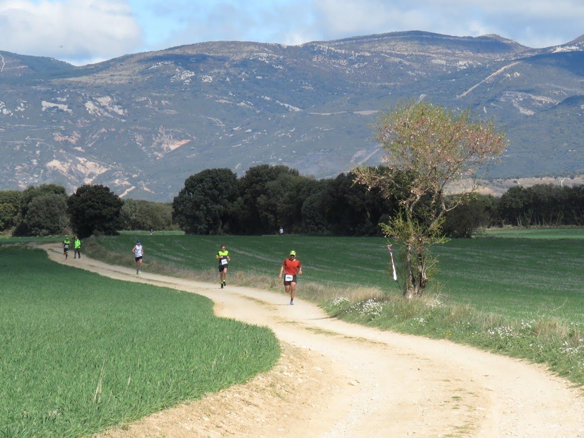 Trail de Chimillas. Fotos Ramón Ferrer 