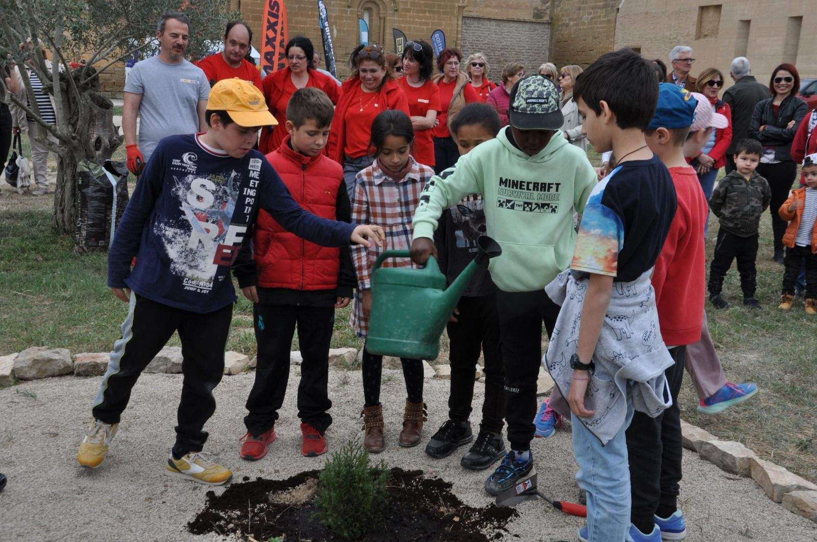Los alumnos riegan la sabina plantada junto al monasterio de Sijena.