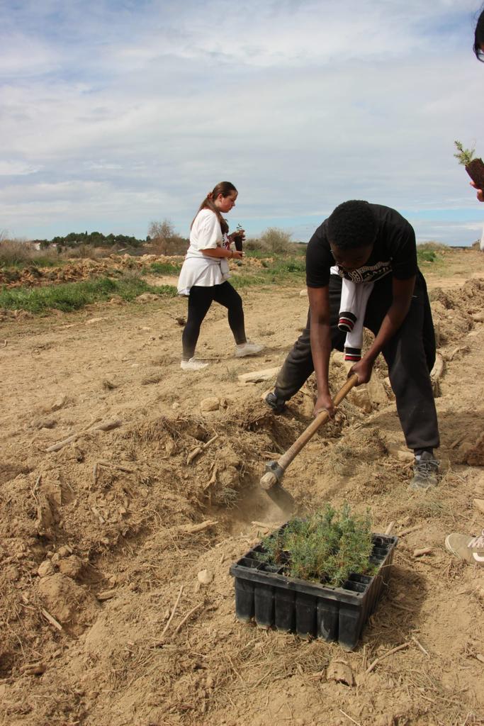 Plantación de árboles por el IES Sierra de Guara en Vicién