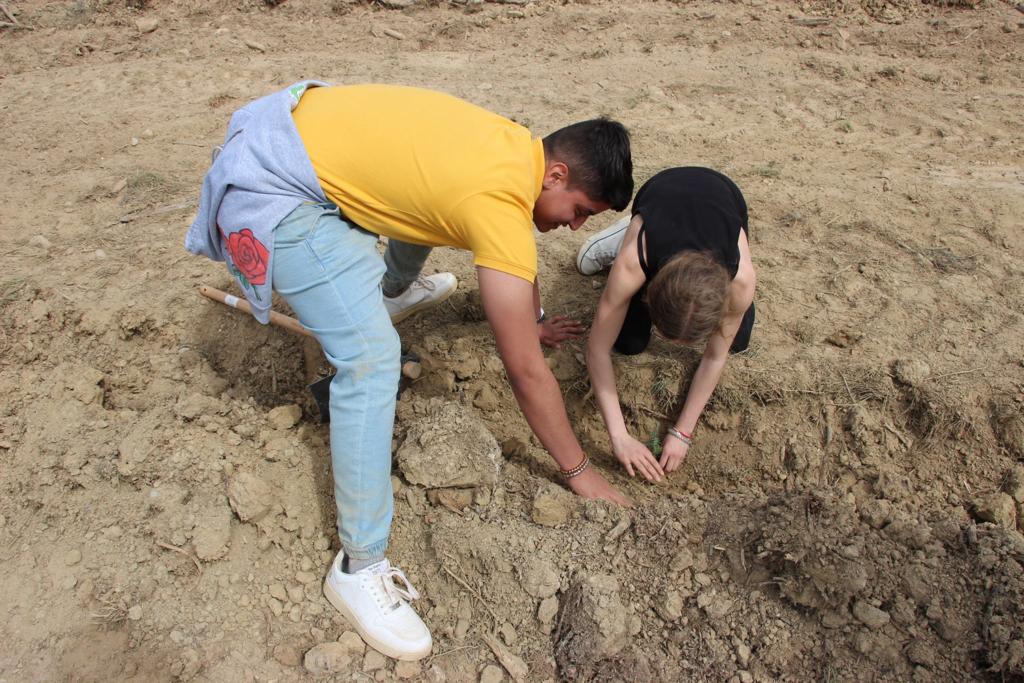 Plantación de árboles por el IES Sierra de Guara en Vicién