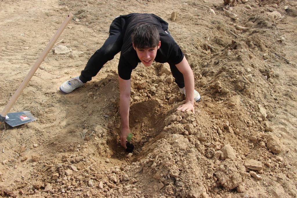Plantación de árboles por el IES Sierra de Guara en Vicién