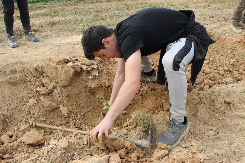 Plantación de árboles por el IES Sierra de Guara en Vicién