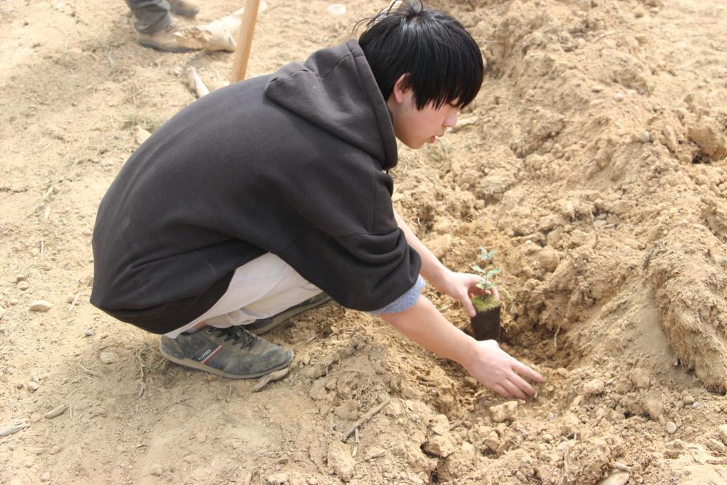 Plantación de árboles por el IES Sierra de Guara en Vicién