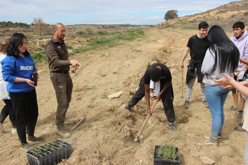 Plantación de árboles por el IES Sierra de Guara en Vicién