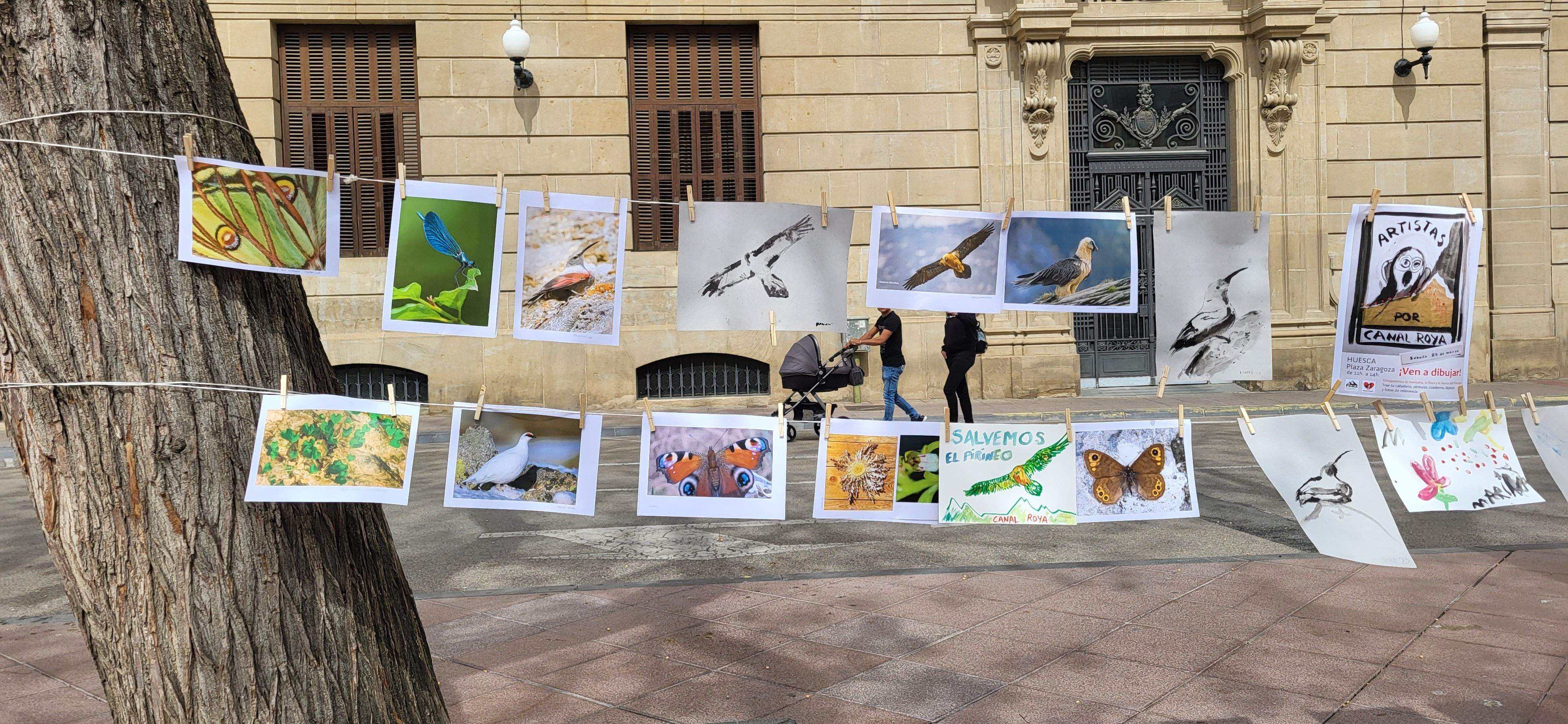 Artistas por Canal Roya. Foto Myriam Martínez 