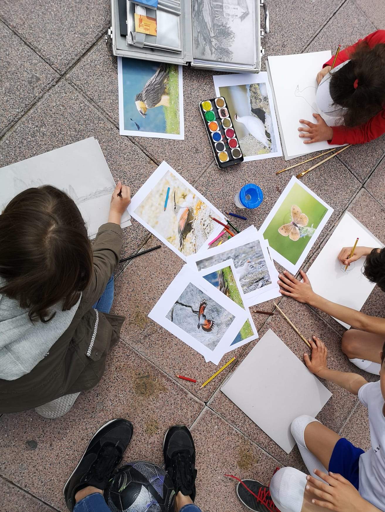 Artistas por Canal Roya. Foto E.D.A.