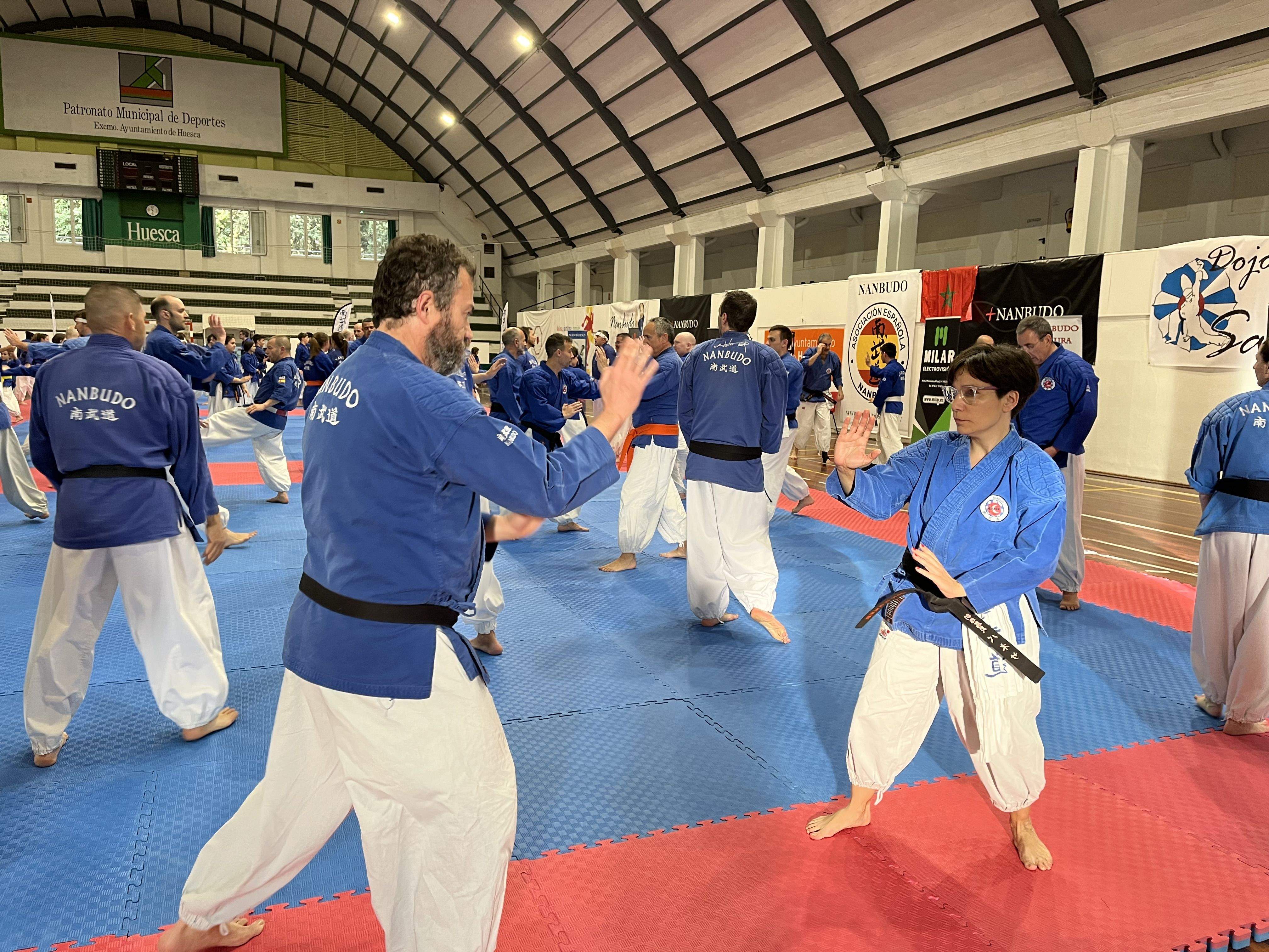 Alrededor de 200 nanbudokas se dan cita en el Pabellón del Parque de Huesca. Foto: A. Mora