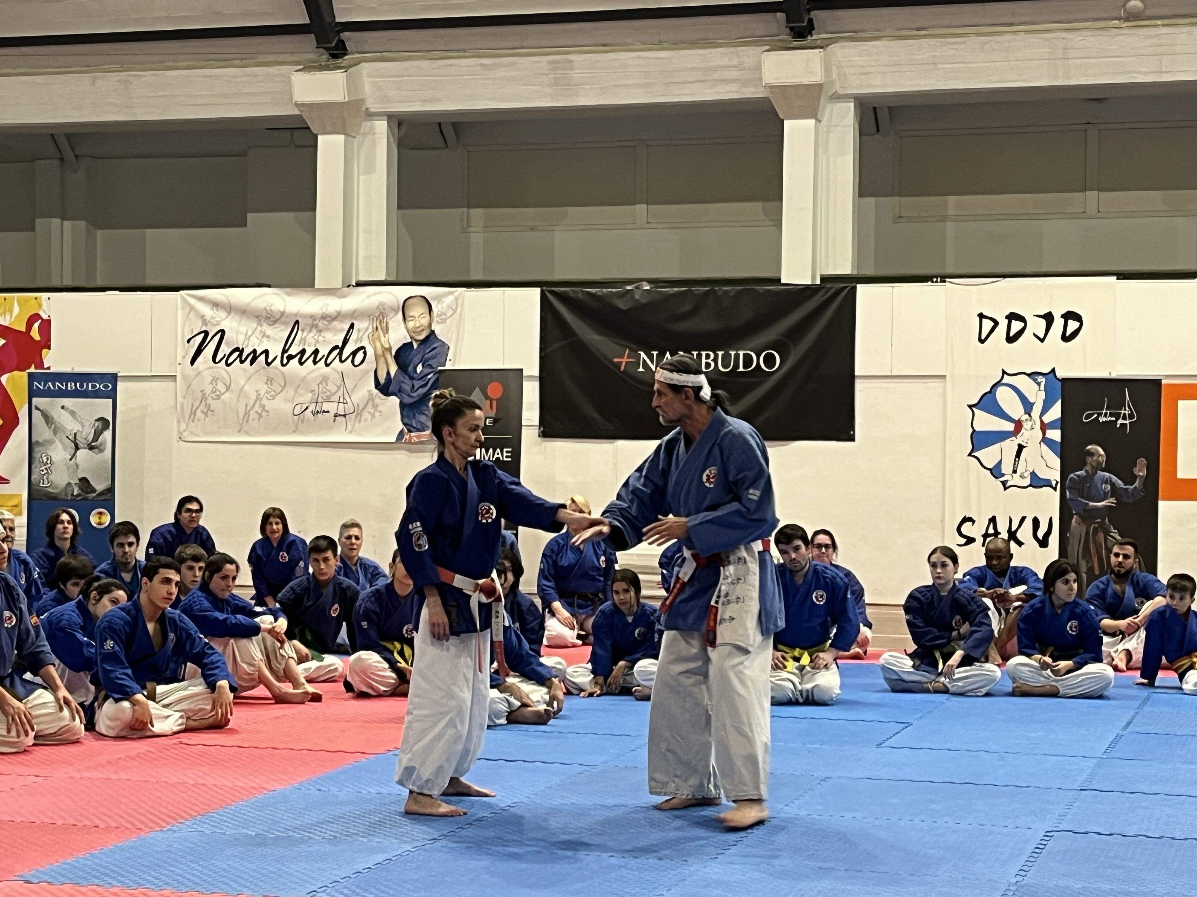 Alrededor de 200 nanbudokas se dan cita en el Pabellón del Parque de Huesca. Foto: A. Mora