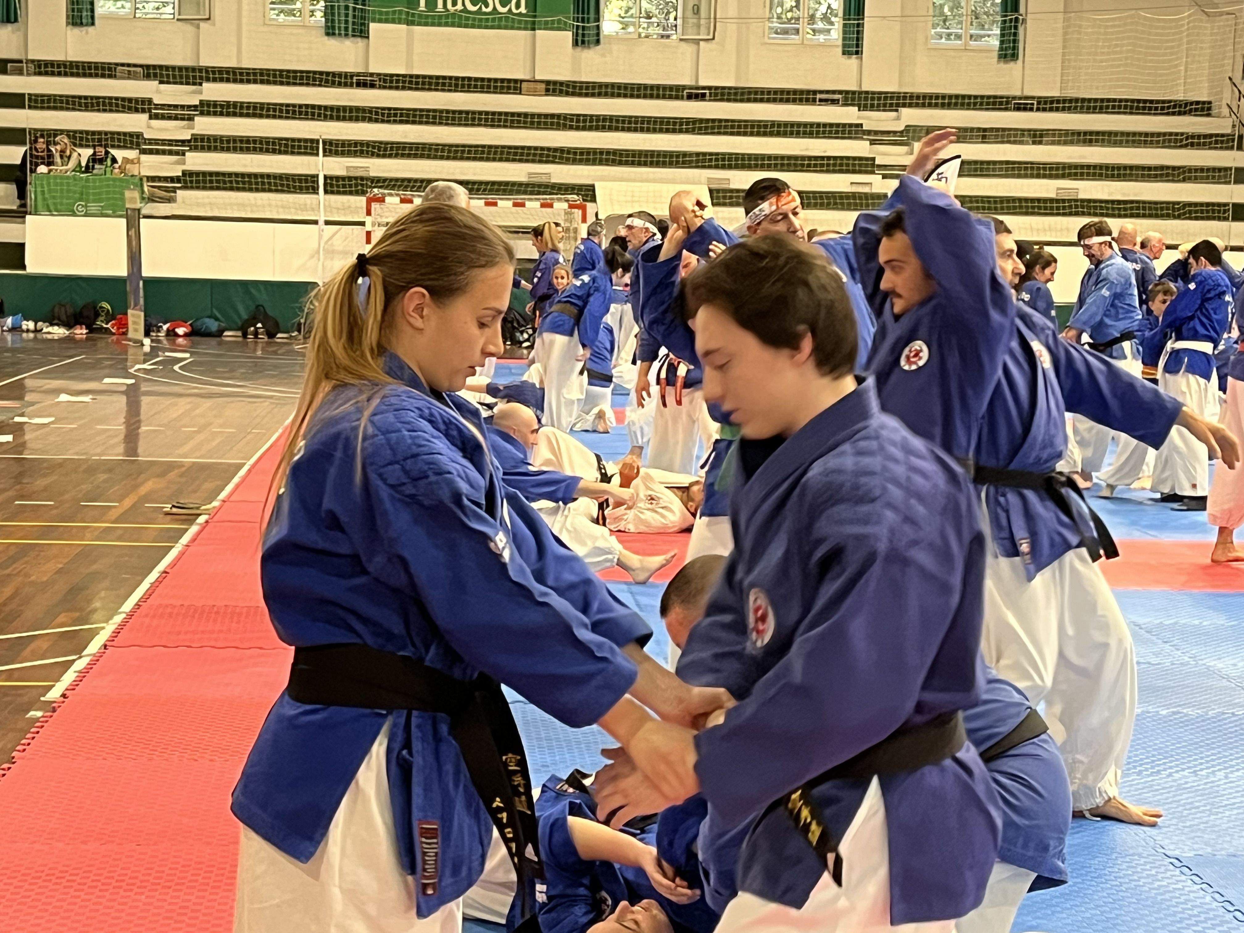 Alrededor de 200 nanbudokas se dan cita en el Pabellón del Parque de Huesca. Foto: A. Mora