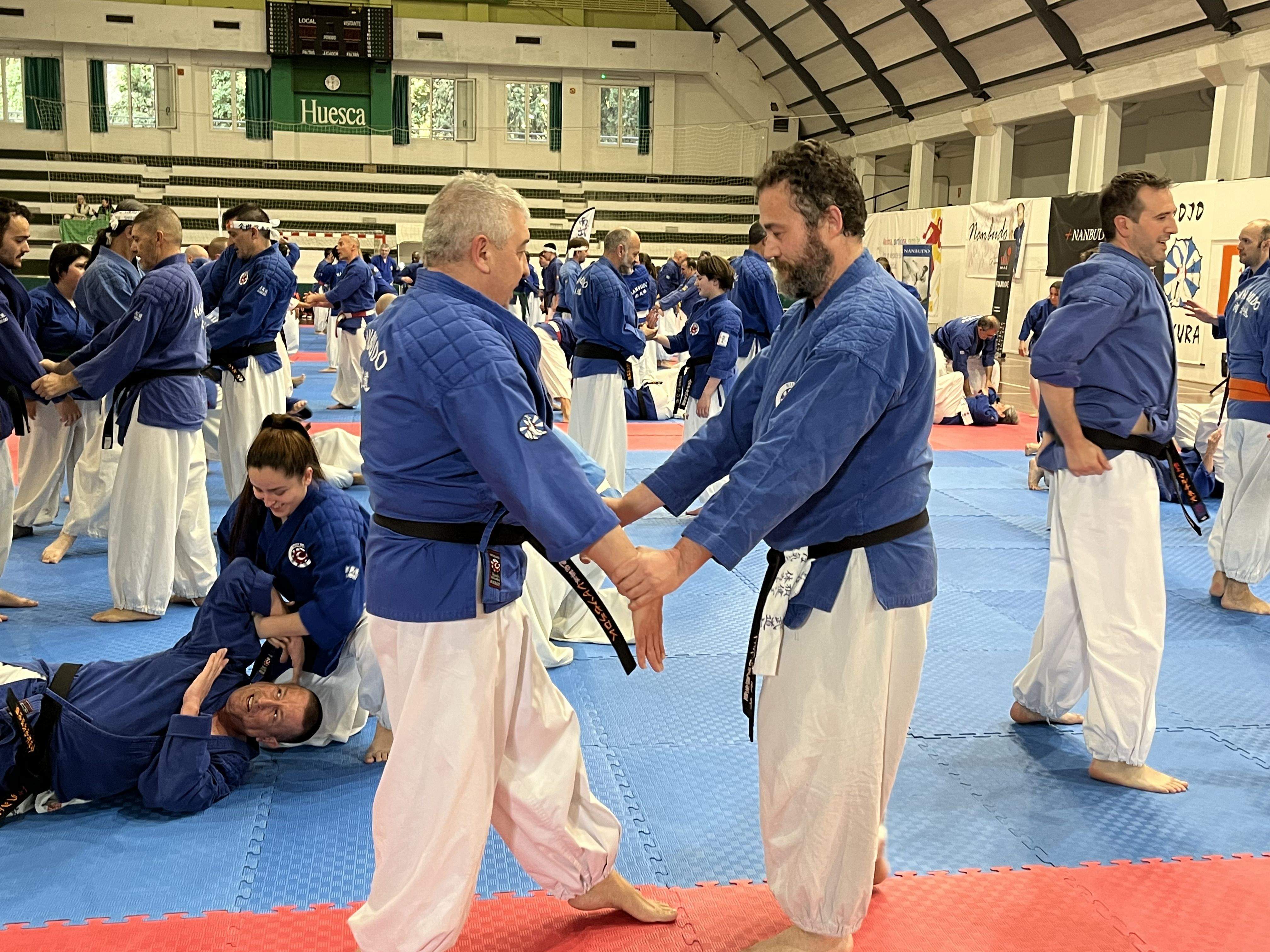 Alrededor de 200 nanbudokas se dan cita en el Pabellón del Parque de Huesca. Foto: A. Mora