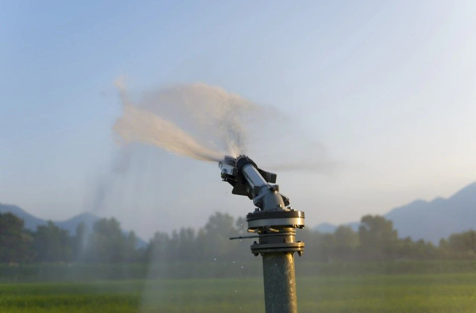 Huesca inicia las restricciones de consumo de agua.
