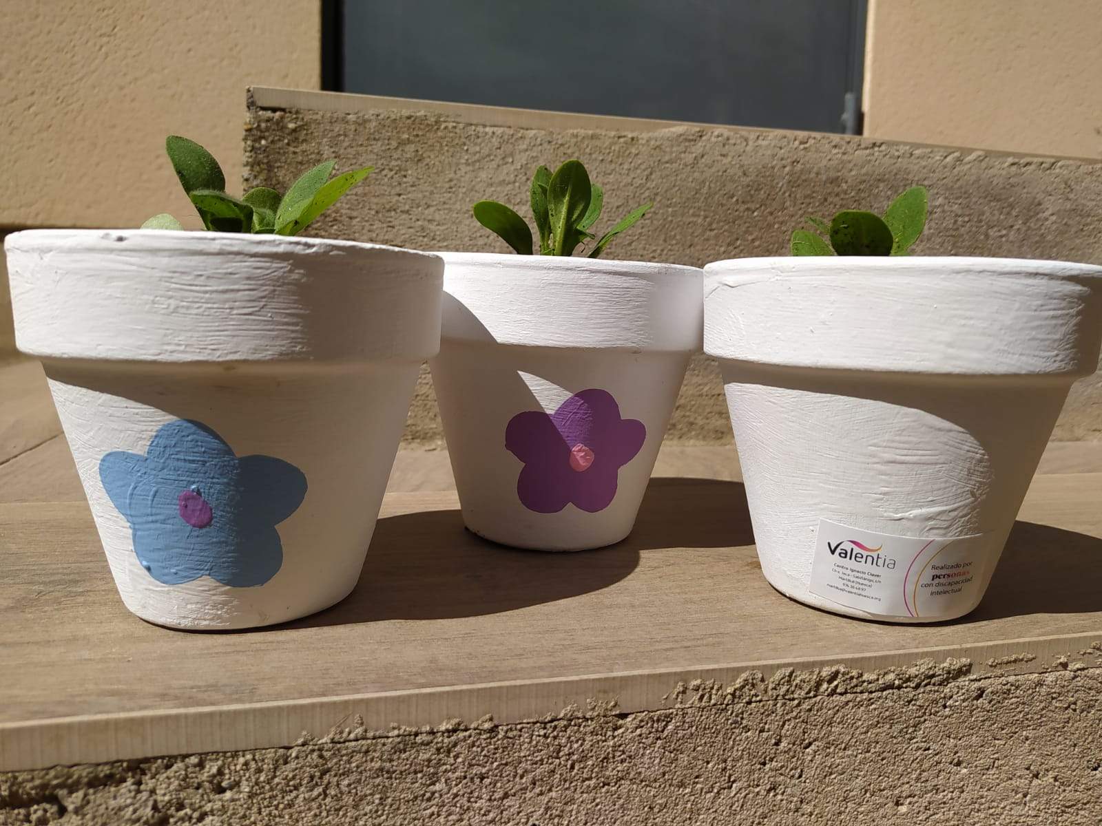 Día Mundial del Agua en Tardienta