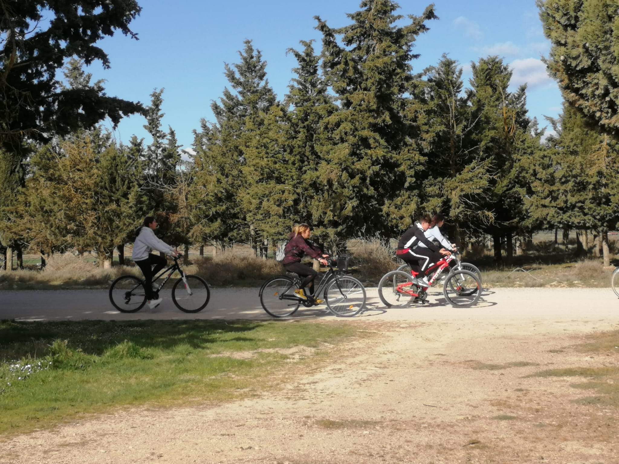 704b959c 1e4c 4862 b206 2e14ecec8b29