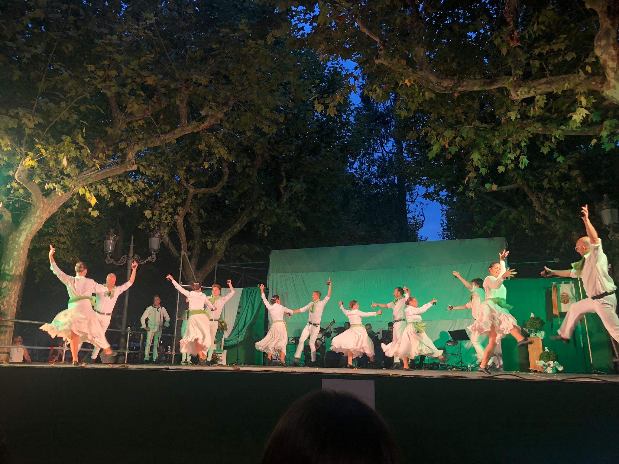 Actuación del Grupo San Lorenzo el día grande de las fiestas. La jota ha brillado